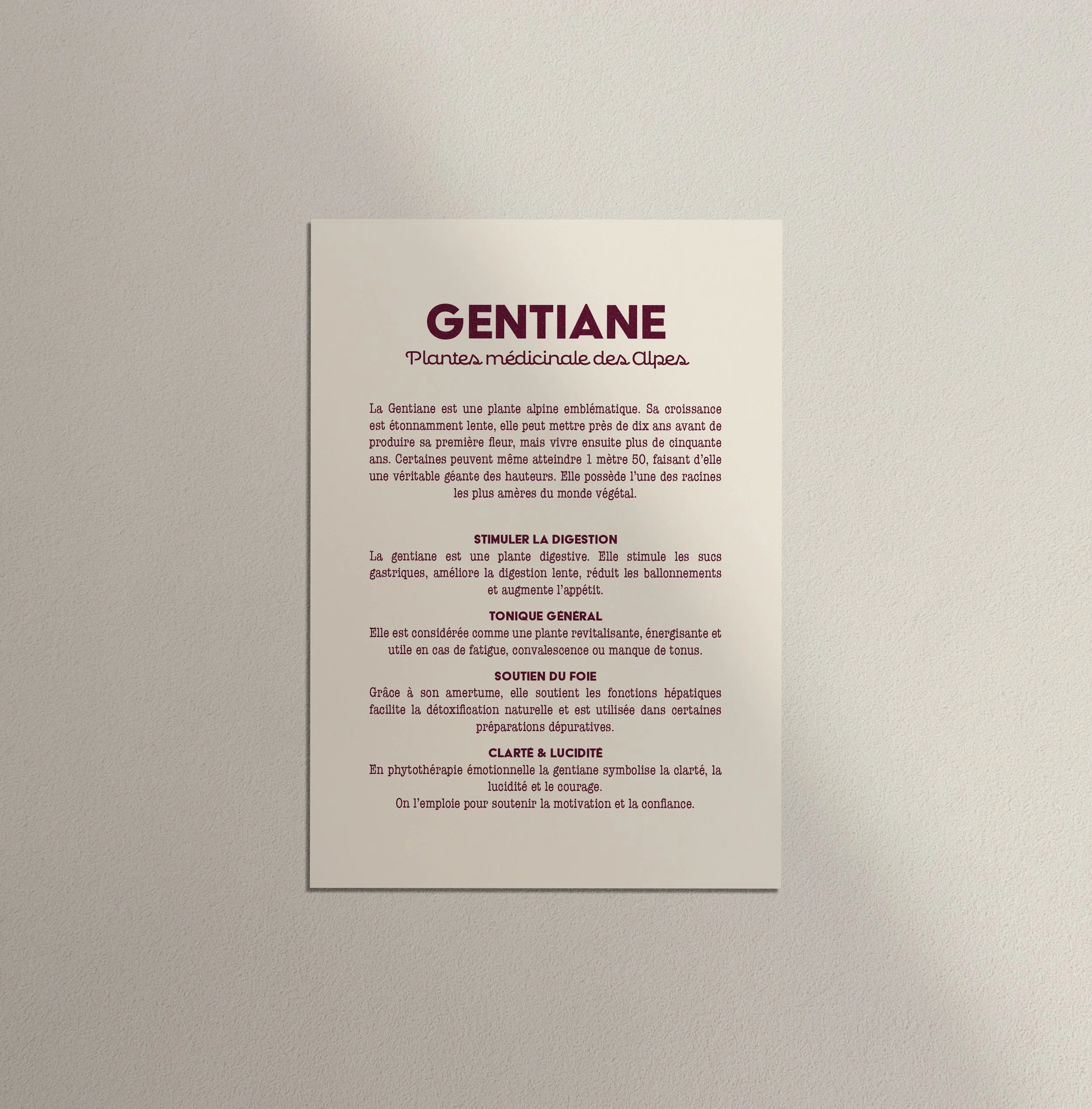 Gentiane verso.jpg (copie)
