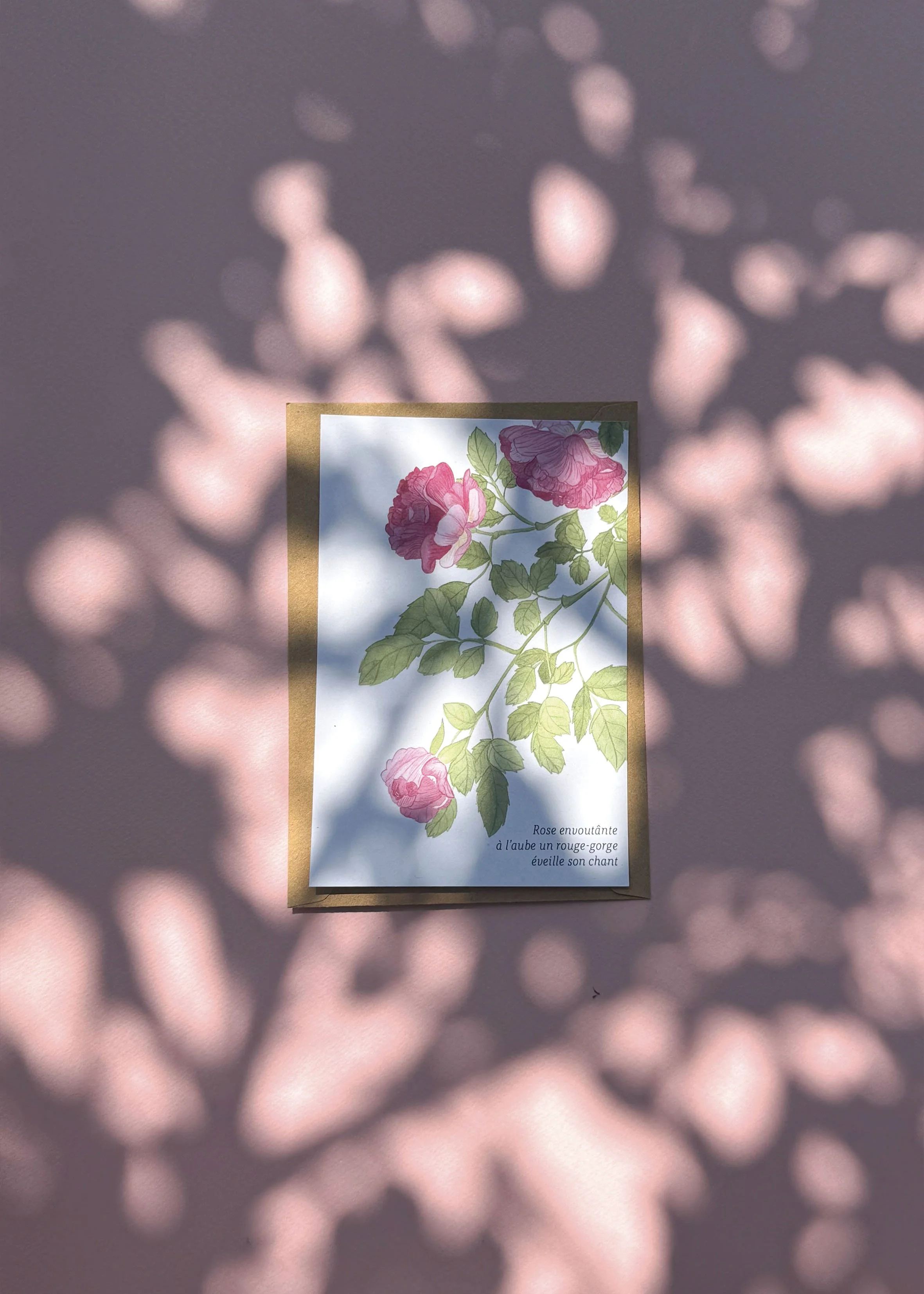 Lot de 4 cartes illustrées — Bouquet éternel