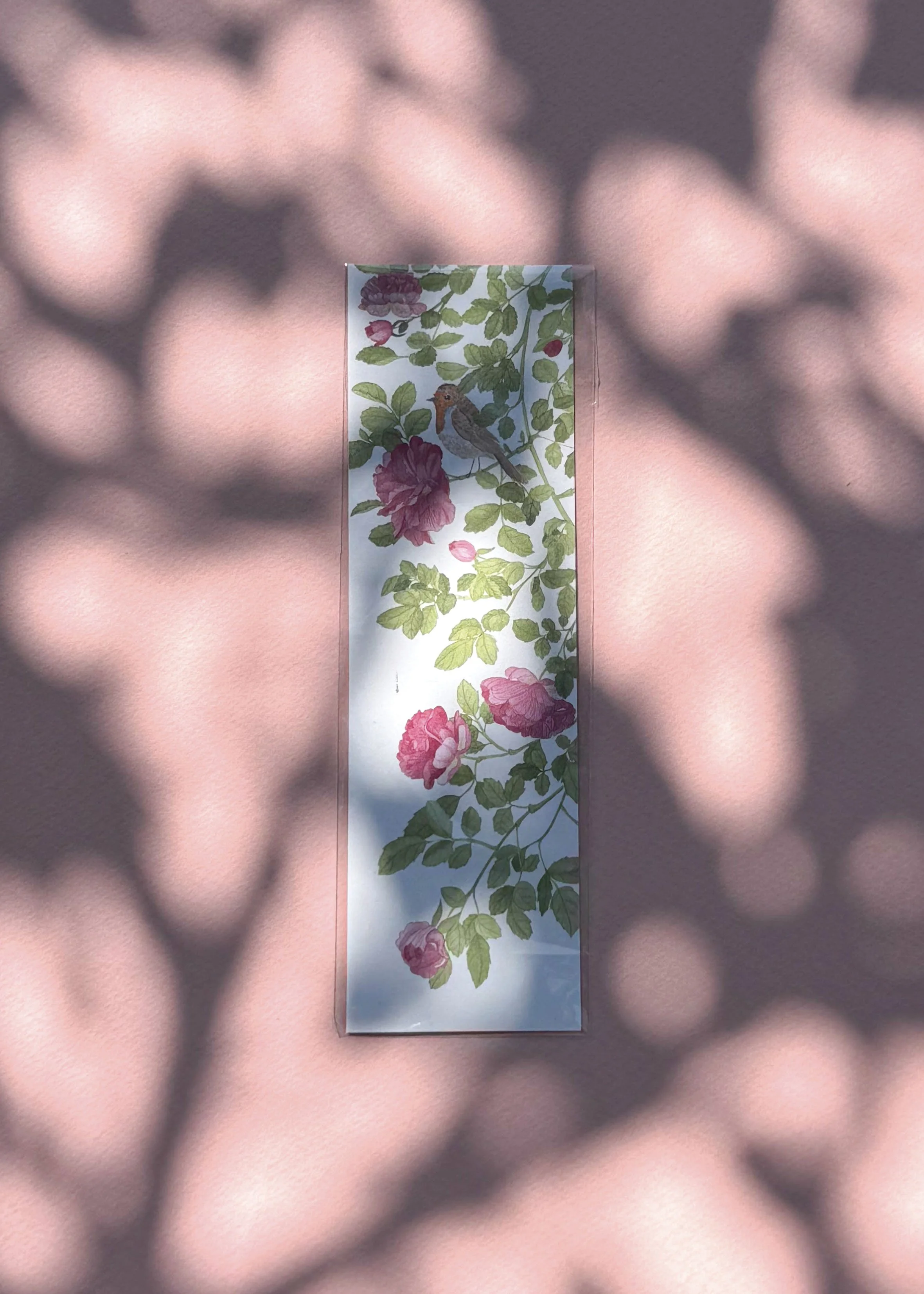 Rose MQ.jpg