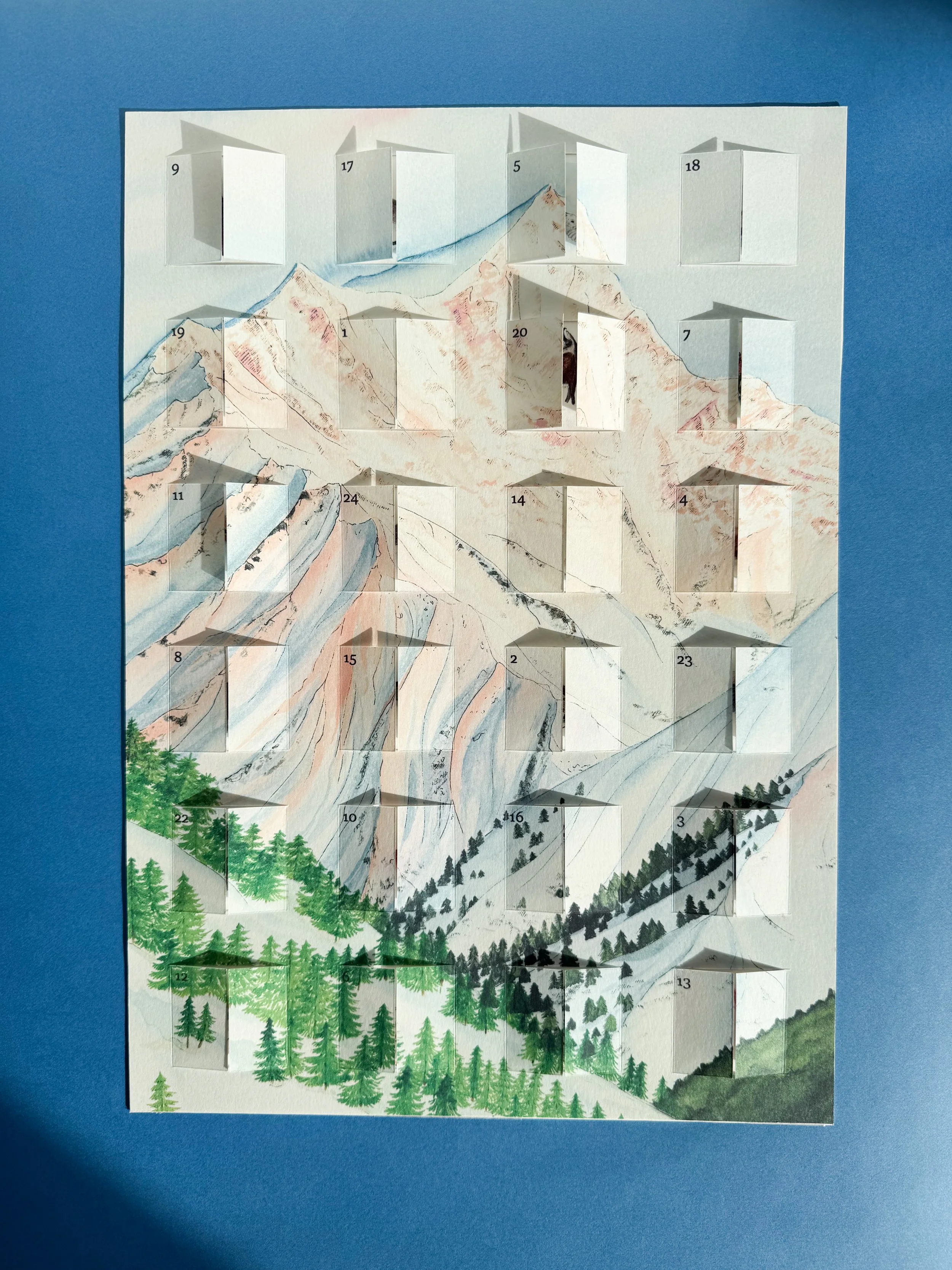 Calendrier-de-l'avent-Montagne-et-sa-biodiversite-Charline_mallet.jpg