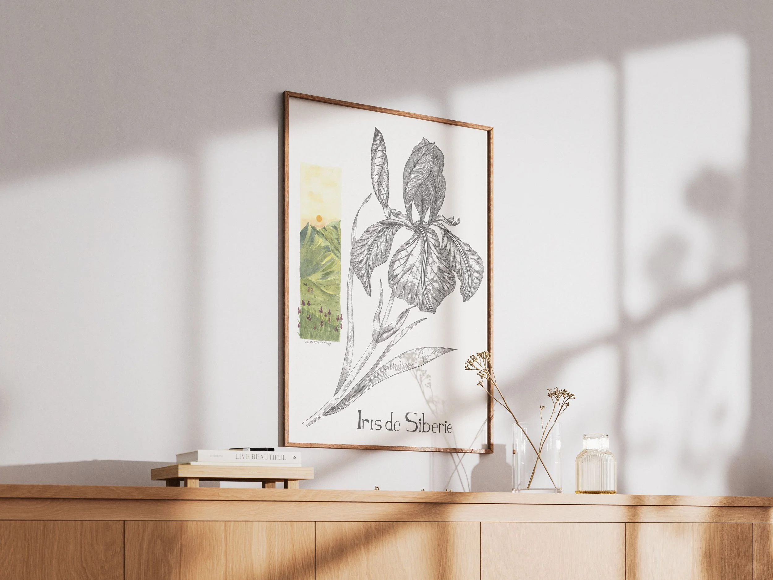 Iris de sibérie vue 2.jpg