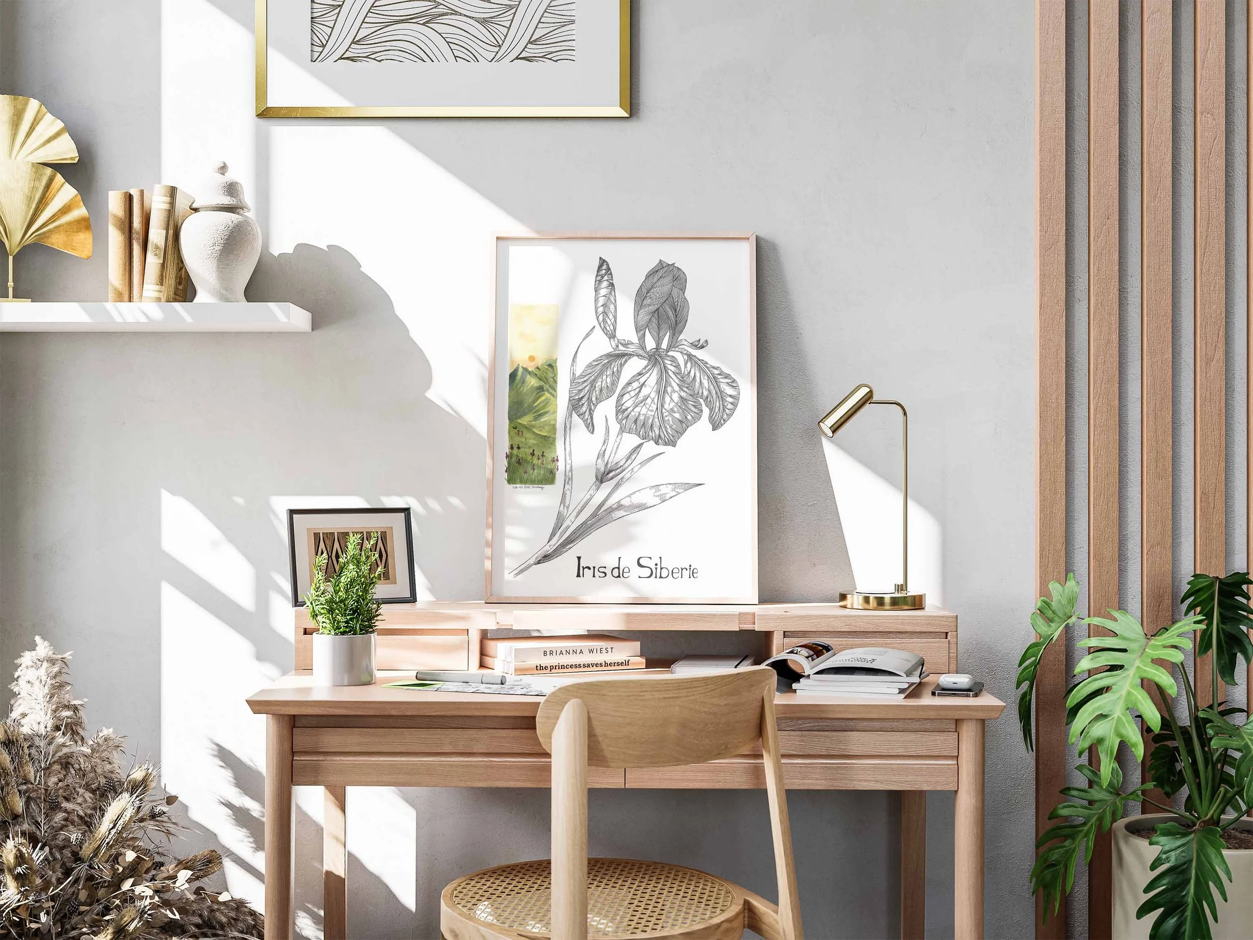 Iris de sibérie  3.jpg