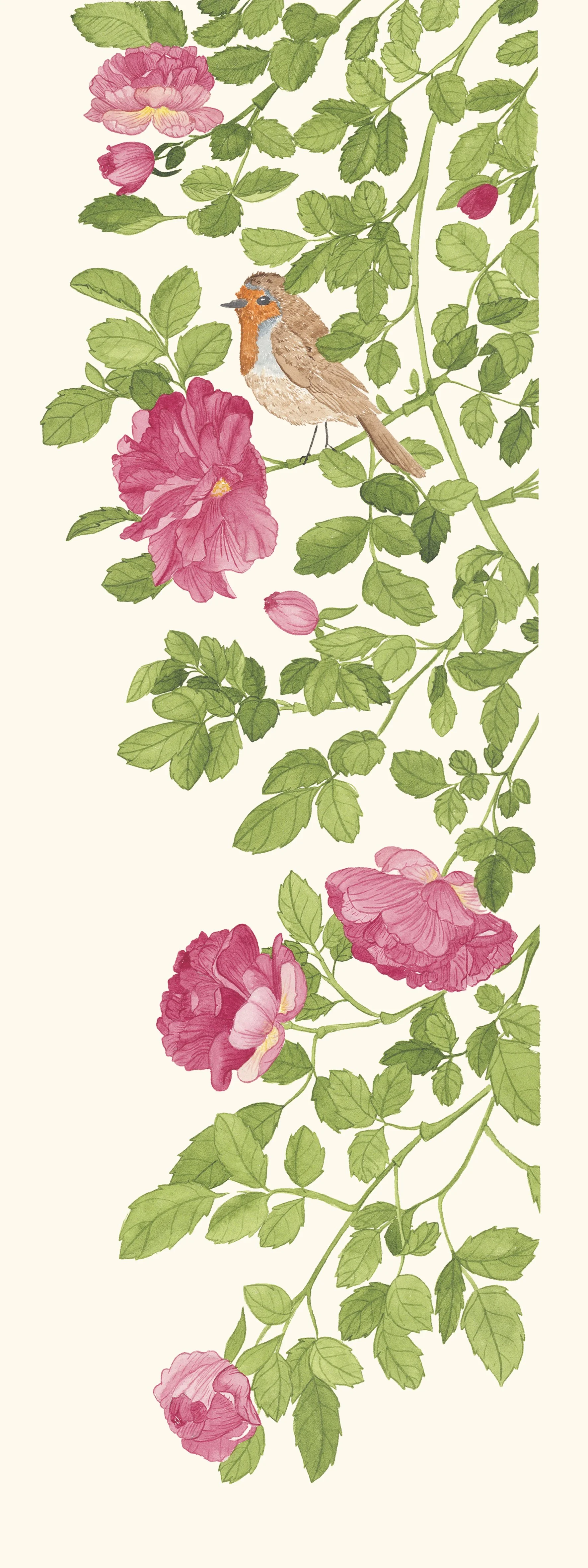 Rosier gallica & Rouge-gorge : Héritier des jardins anciens, le rosier Gallica est l’un des ancêtres des roses cultivées.
Le rouge-gorge, grâce à son grand œil sombre, cherche sa nourriture dans la pénombre des broussailles dès l’aube ou au crépuscul