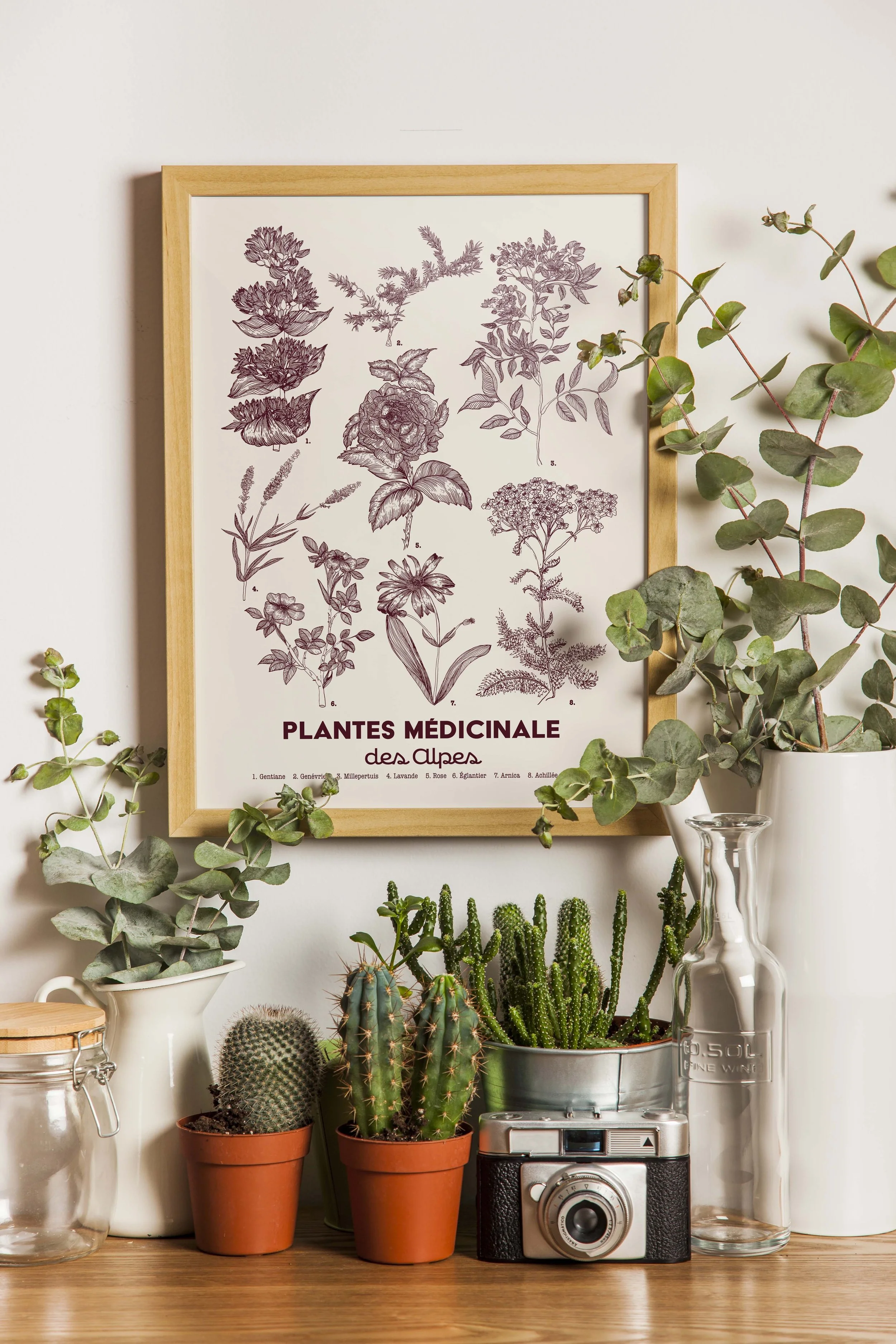 Planche botanique.jpg