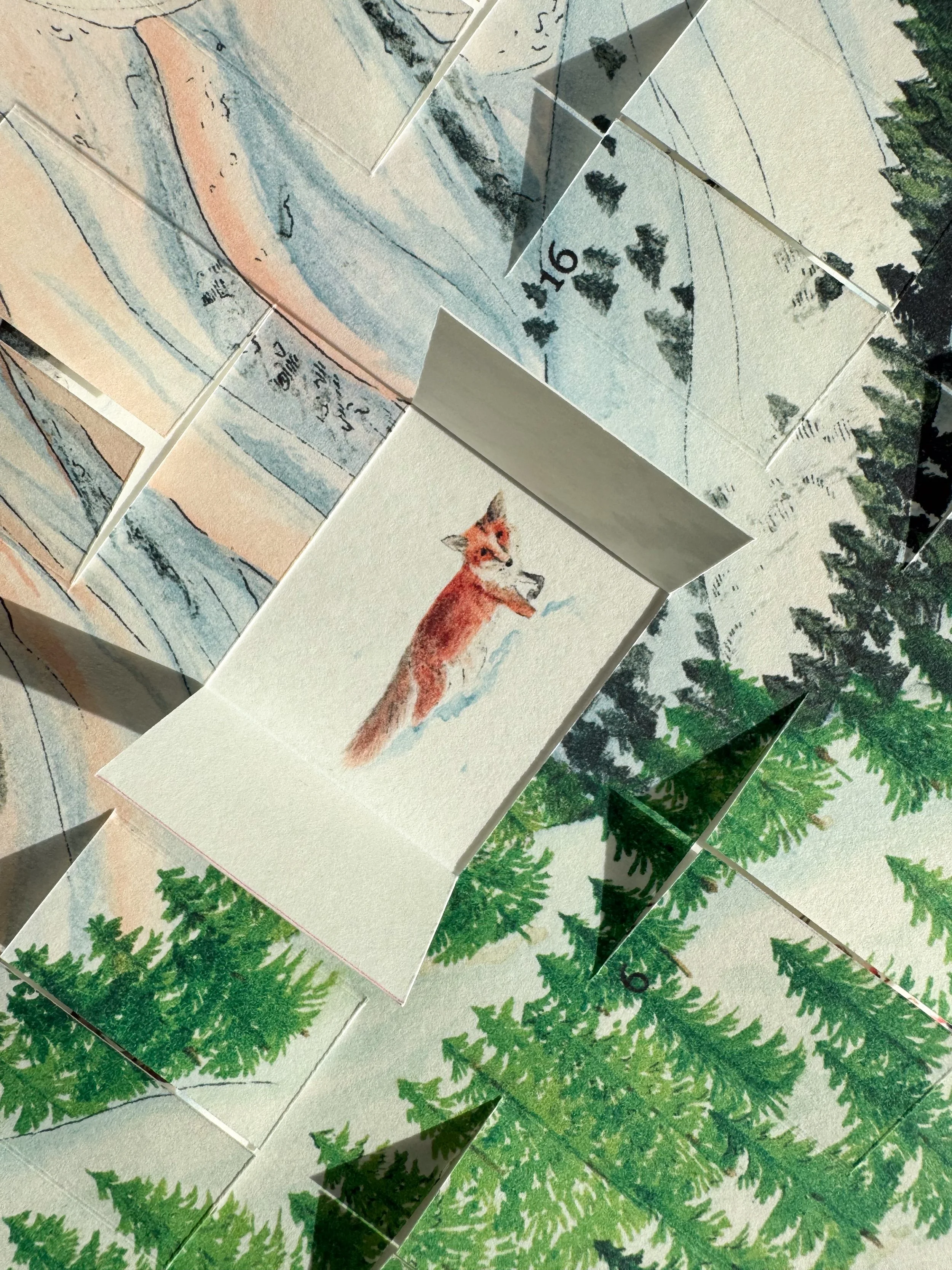Montagne-et-sa-biodiversite-renard-Charline_mallet.jpg