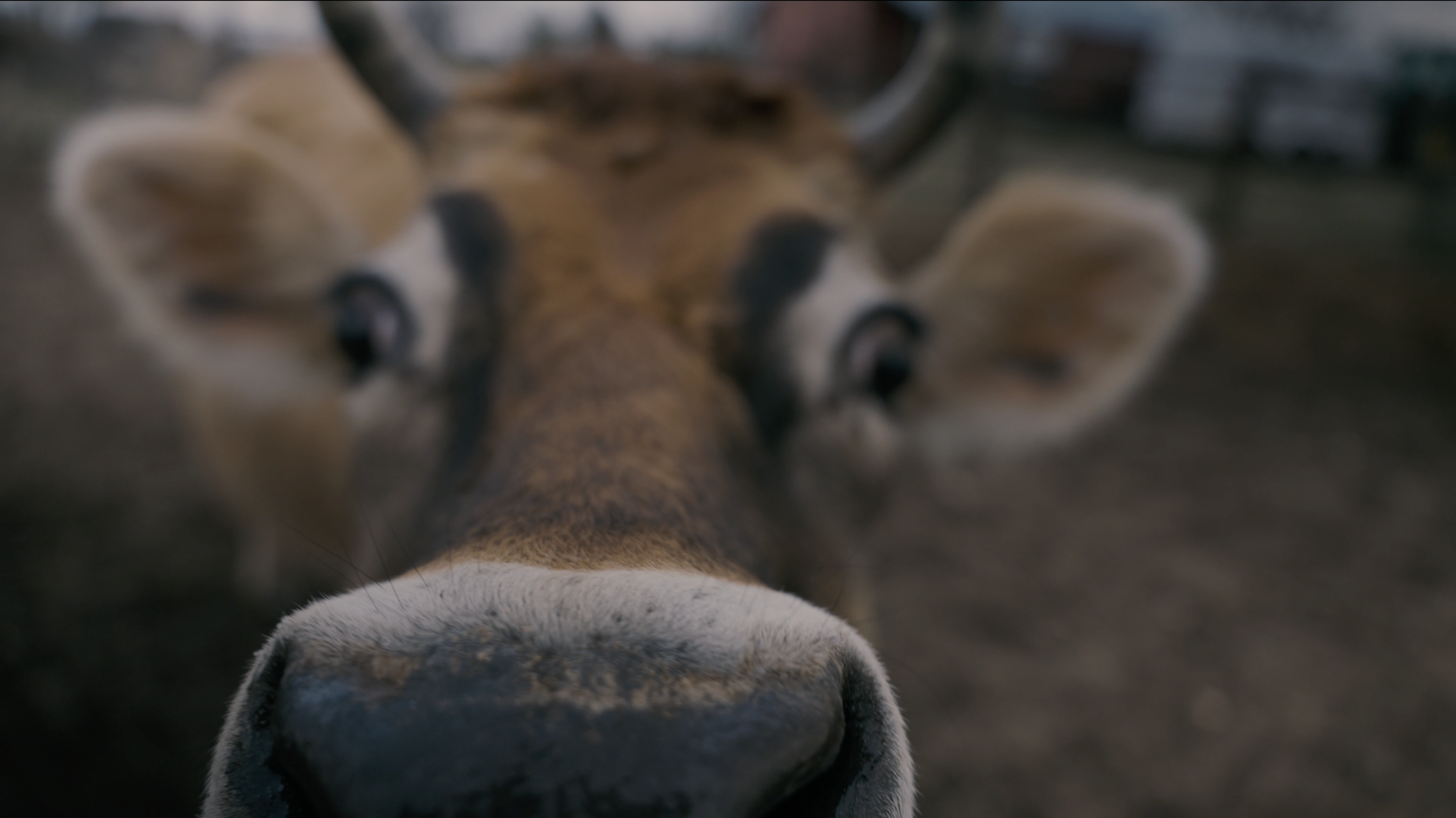 Screenshot 2026-01-02 at 9.23.44 PM.png