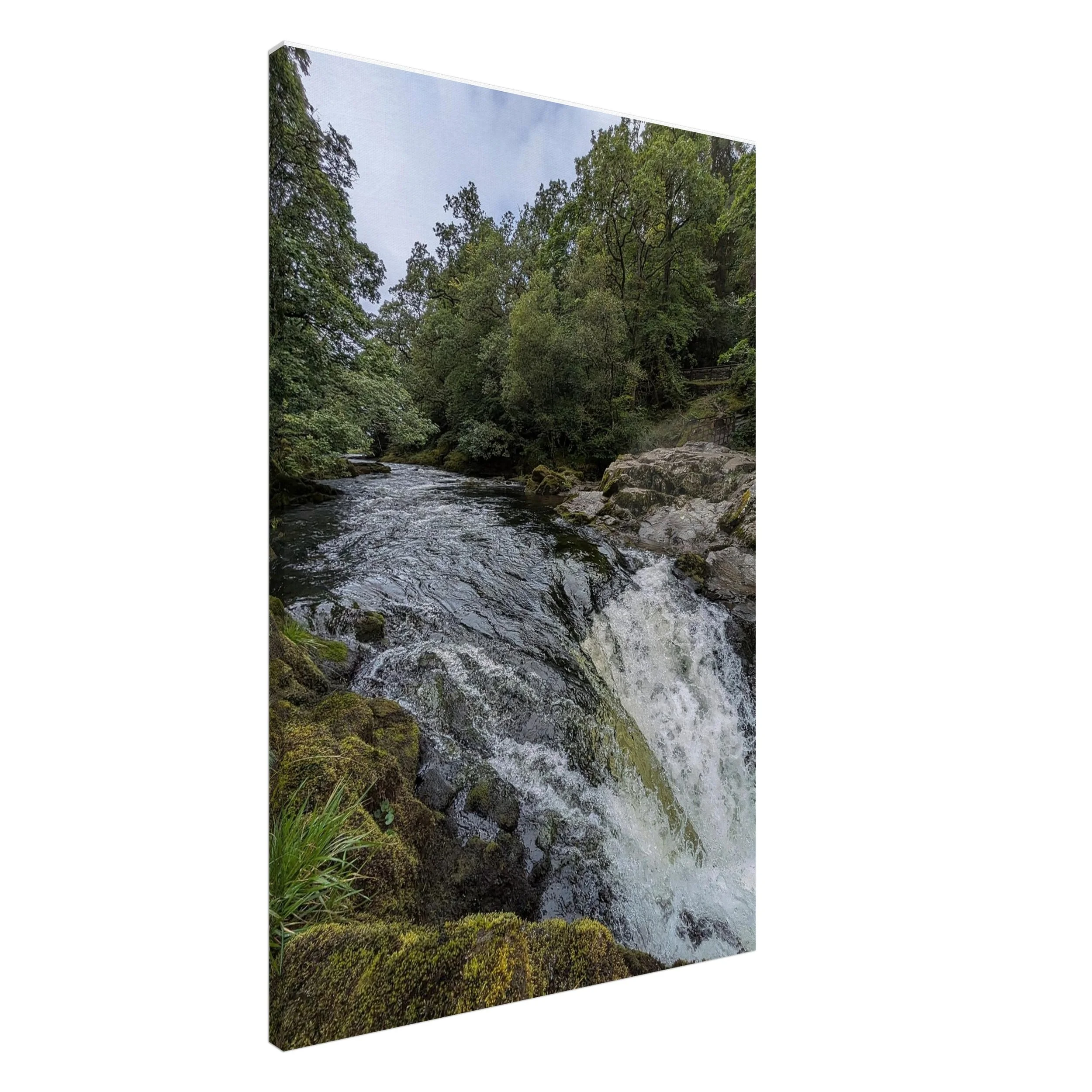 print-skelwith-force.jpeg