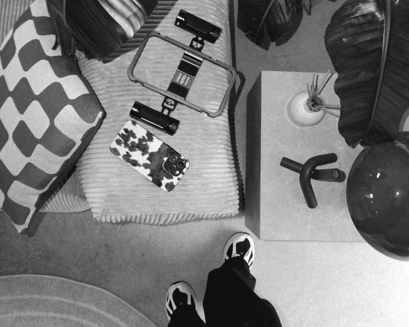 Vue en plane d'une pièce avec un sofa, une table en bois, deux grandes plantes, un tapis, un téléphone avec motif animal, un miroir, une lampe, une bouteille de parfum et des chaussures de sport.