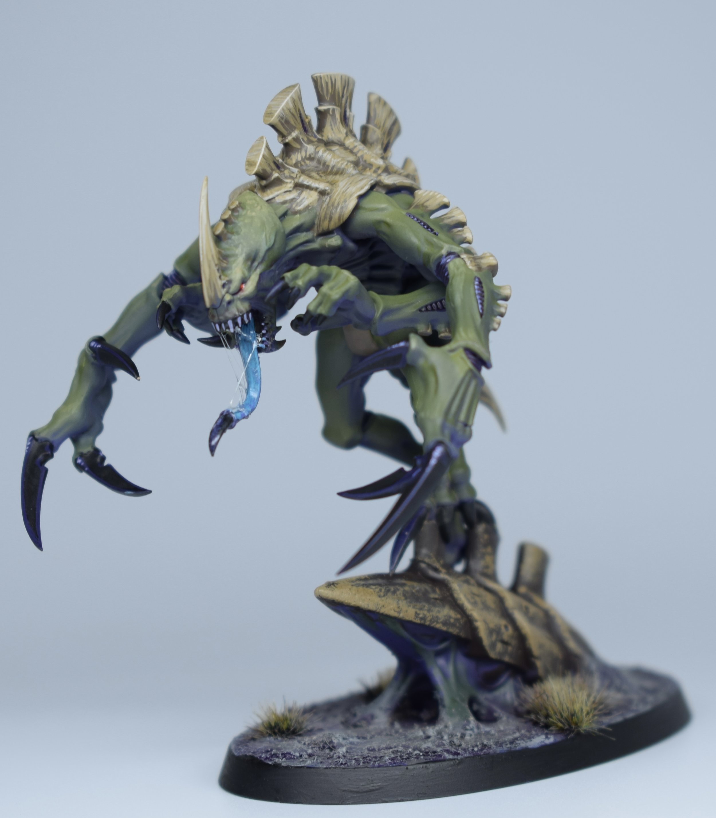 Copy of DSC_0160.jpeg