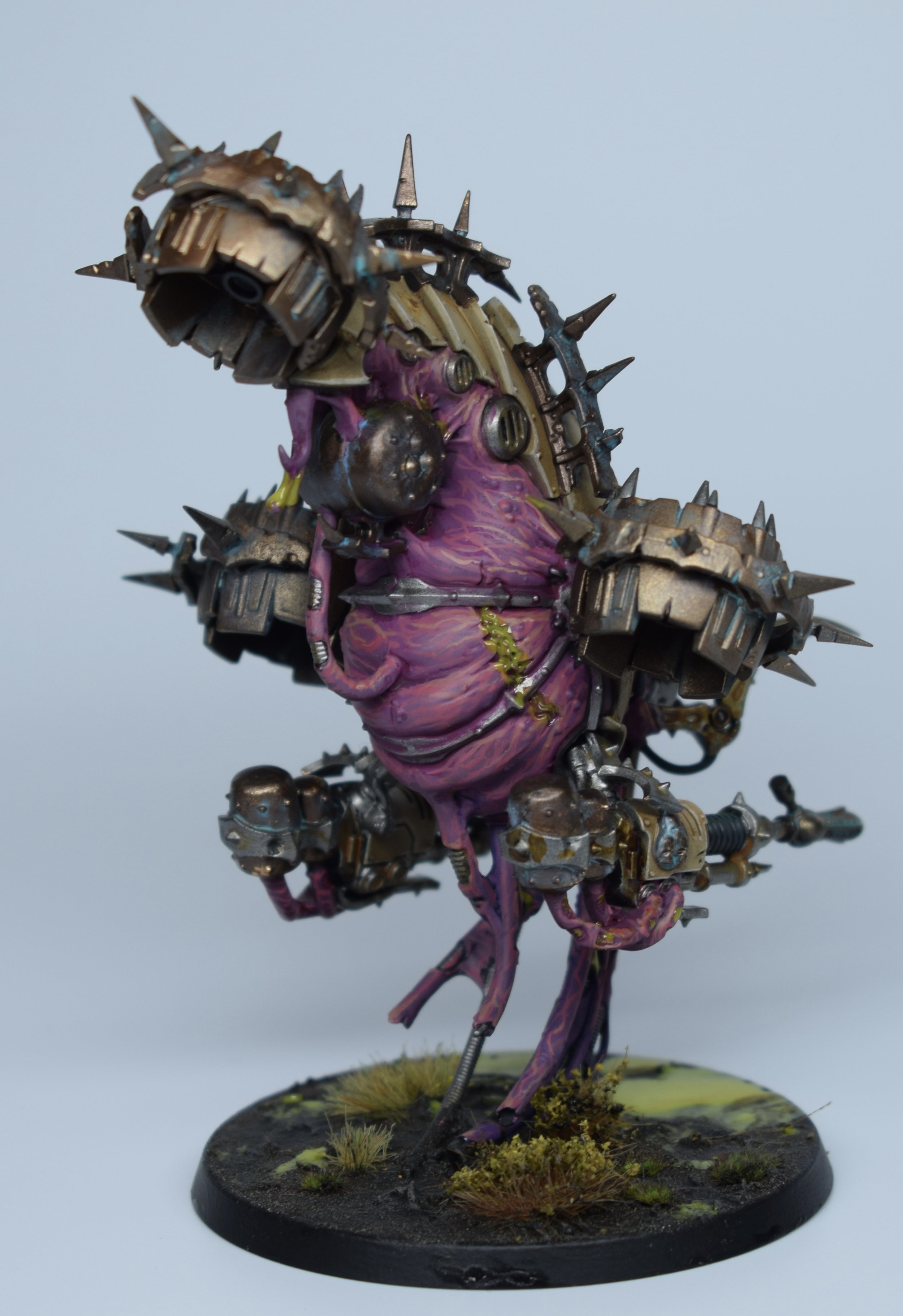 Copy of DSC_0842.jpeg