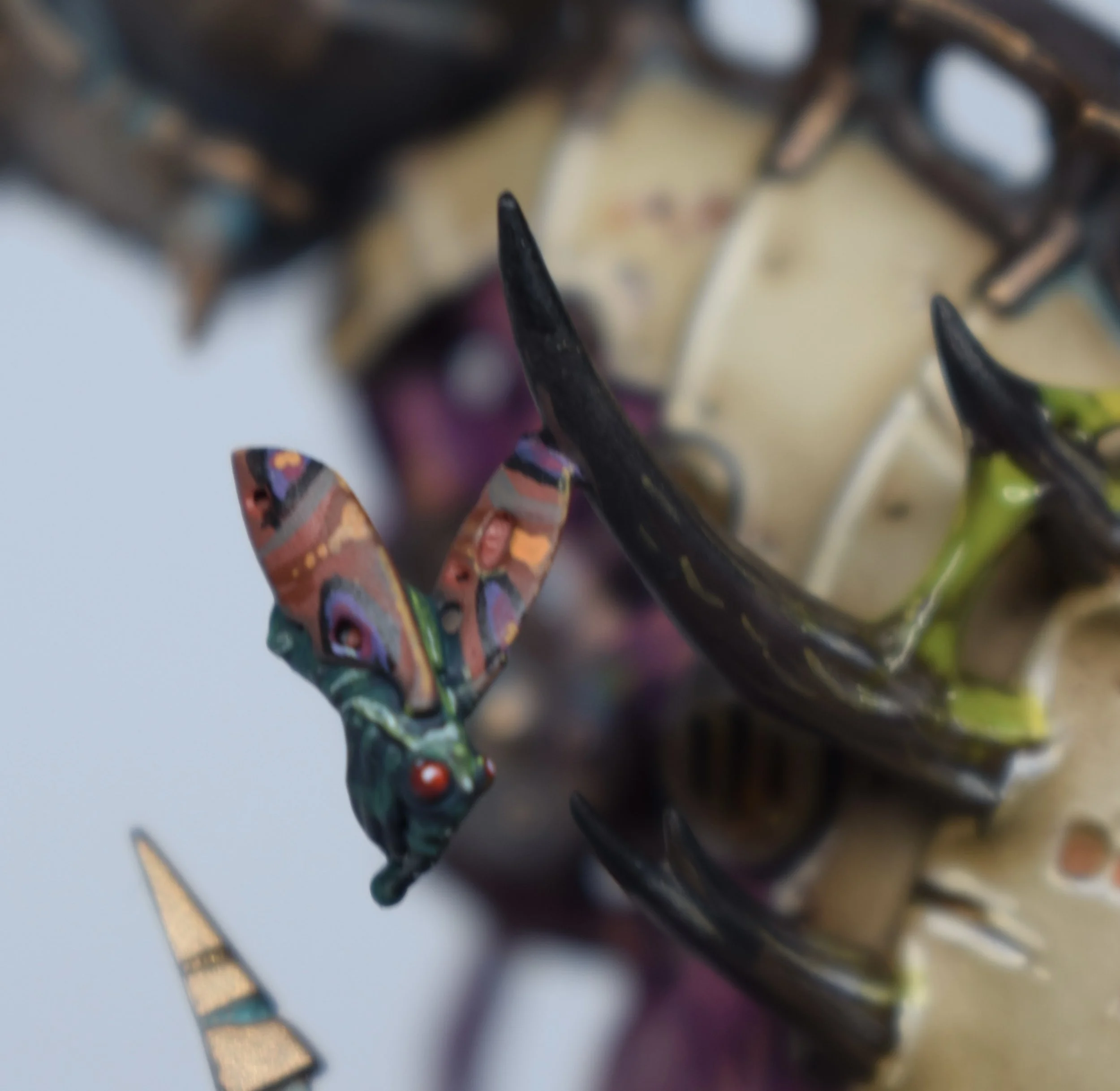 Copy of DSC_0858.jpeg