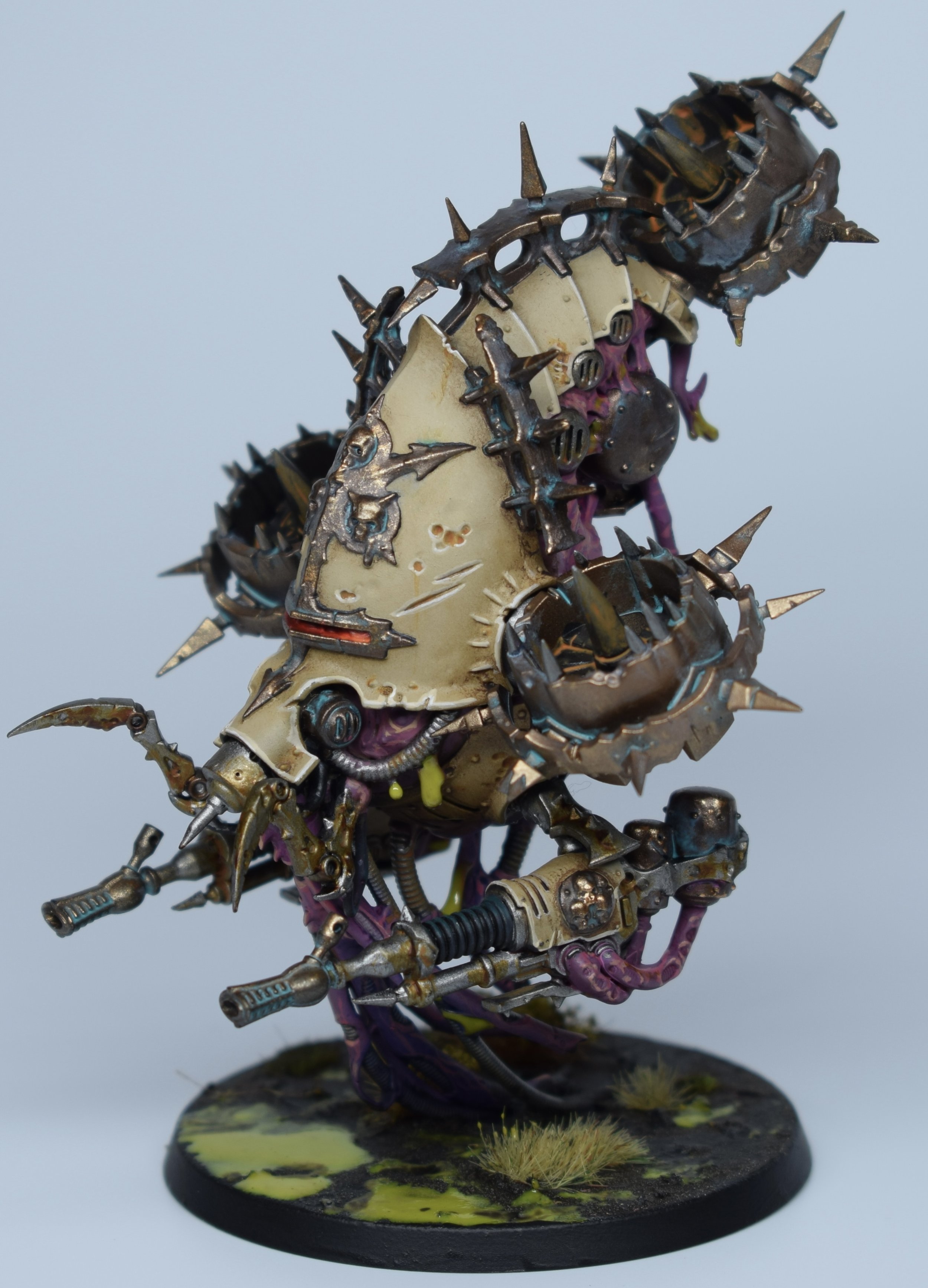 Copy of DSC_0840.jpeg