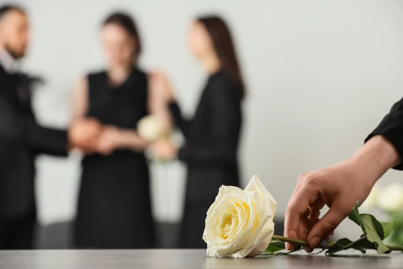 Contested Estates in NSW: Disputed Wills and Family Provision Claims&nbsp;