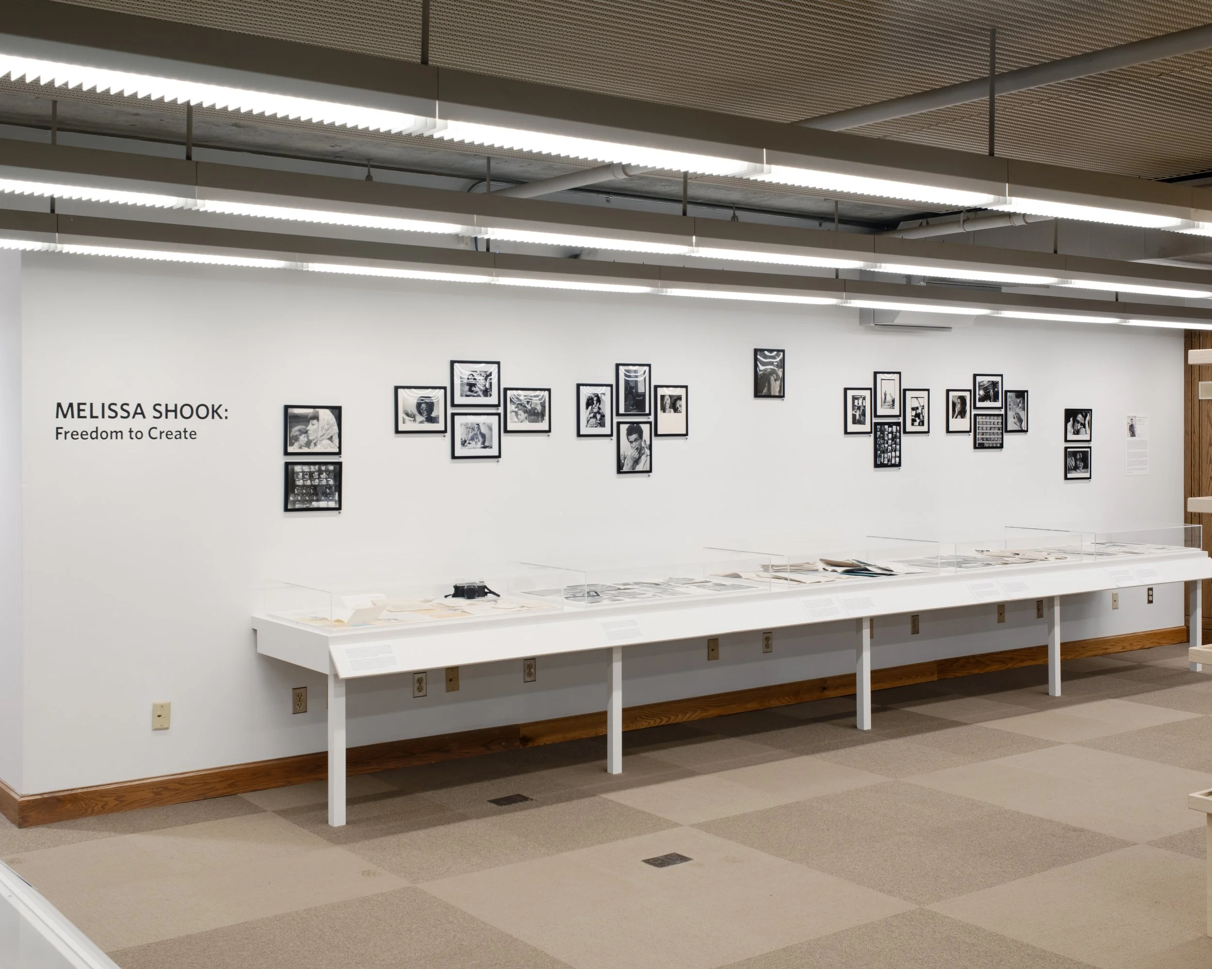Melissa Shook: Freedom to Create