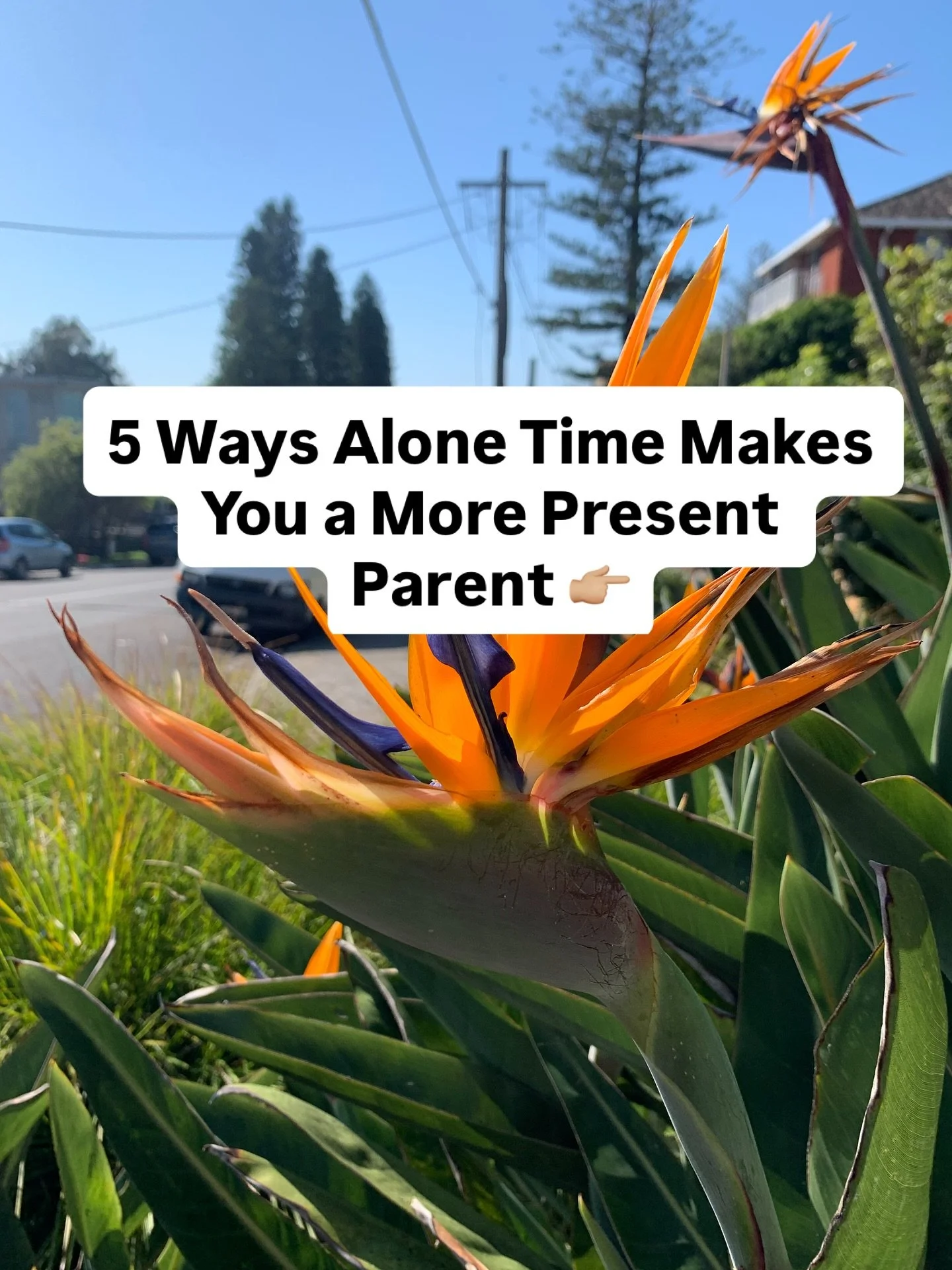 Many of us carry guilt for needing space. Yet when we pause and reconnect with ourselves, we return to our children with more patience, presence, and willingness. 🌿

Alone time isn&rsquo;t about escaping. It&rsquo;s about resourcing yourself so you 