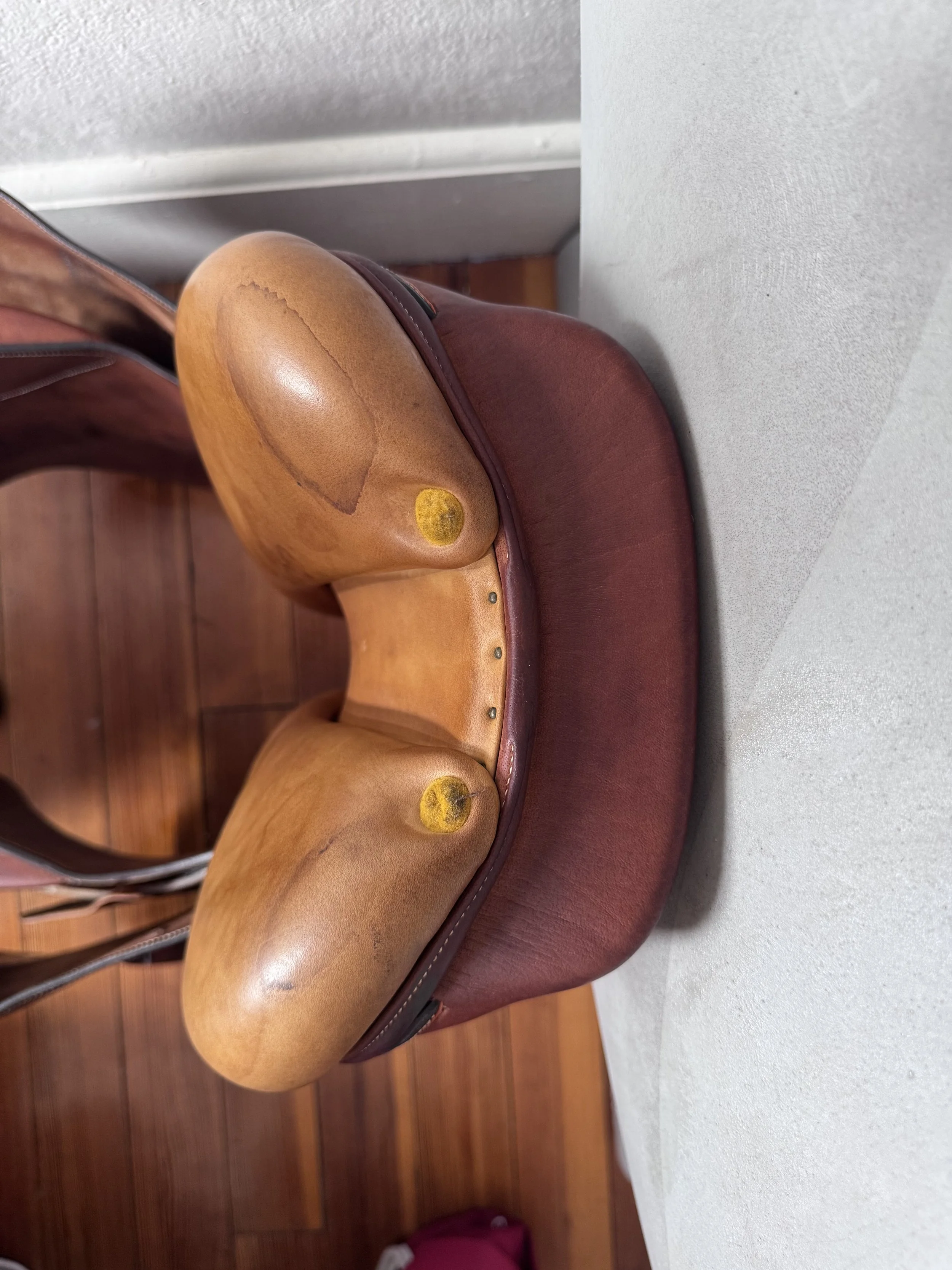 IMG_4450.jpeg