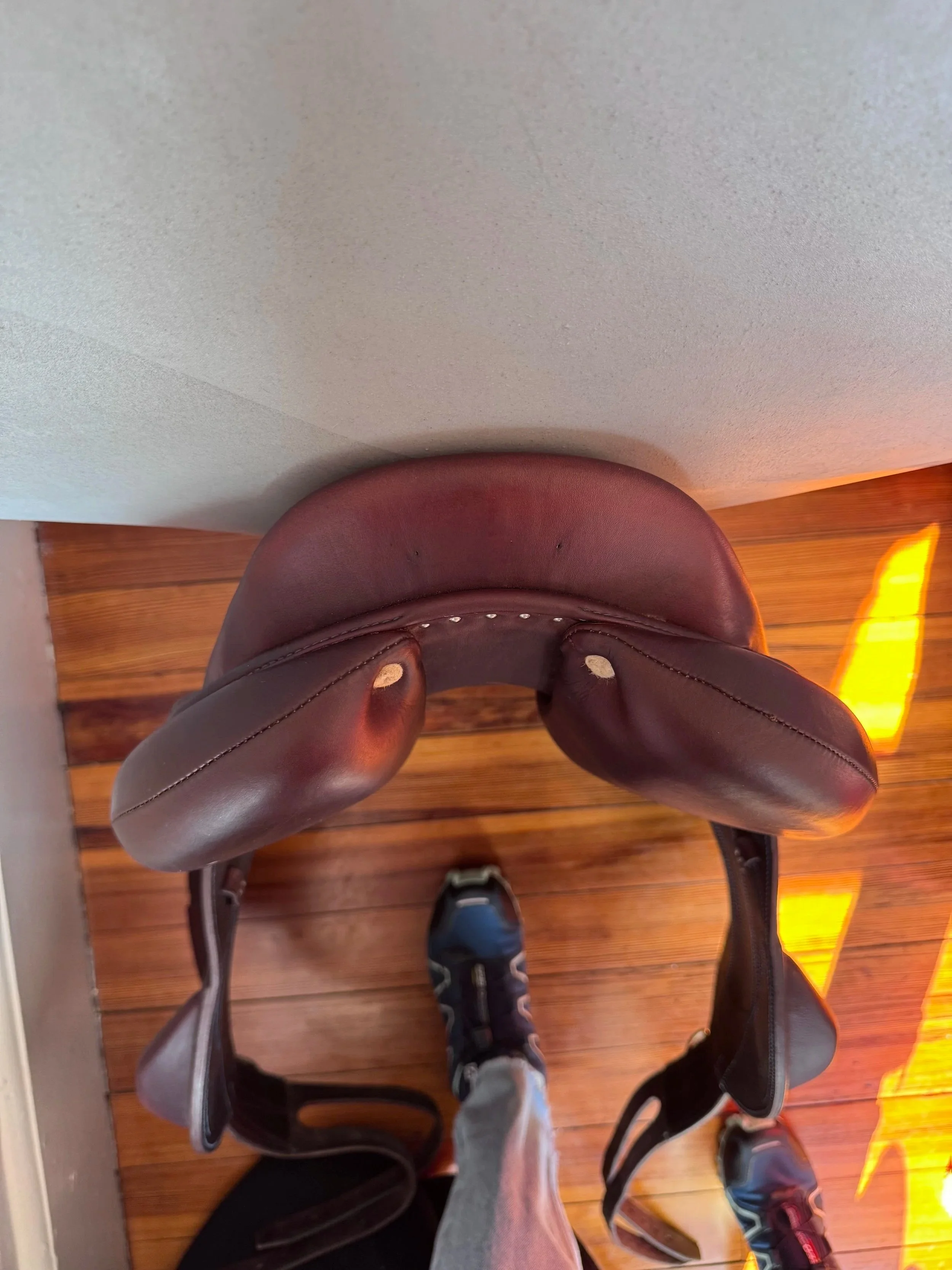 17" Antares Connexion Monoflap Saddle - 2019 - 3A - Full Buffalo - WIDE - Cantle 3