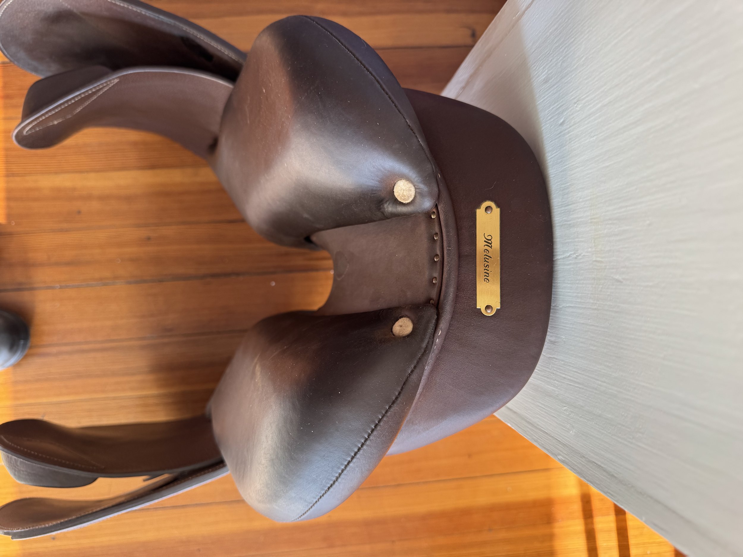 17" Antares Connexion Saddle - Cantle