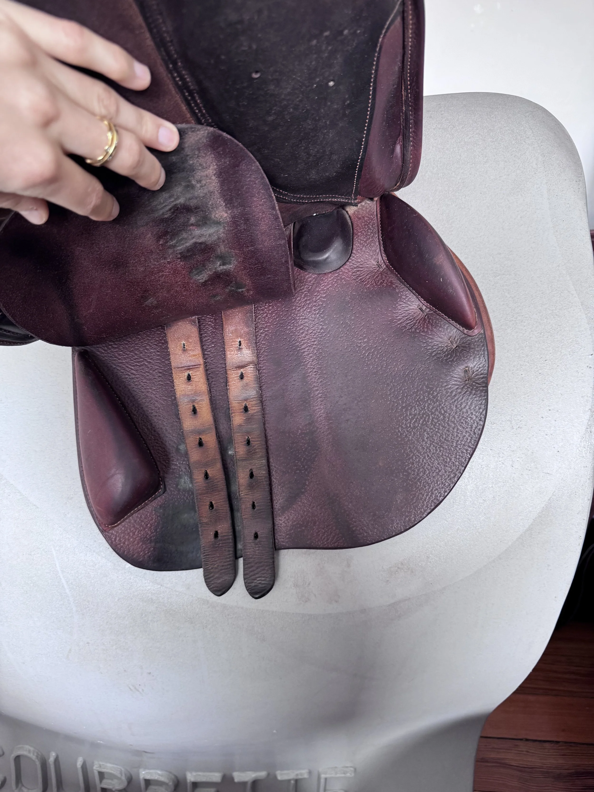 IMG_2930.jpeg