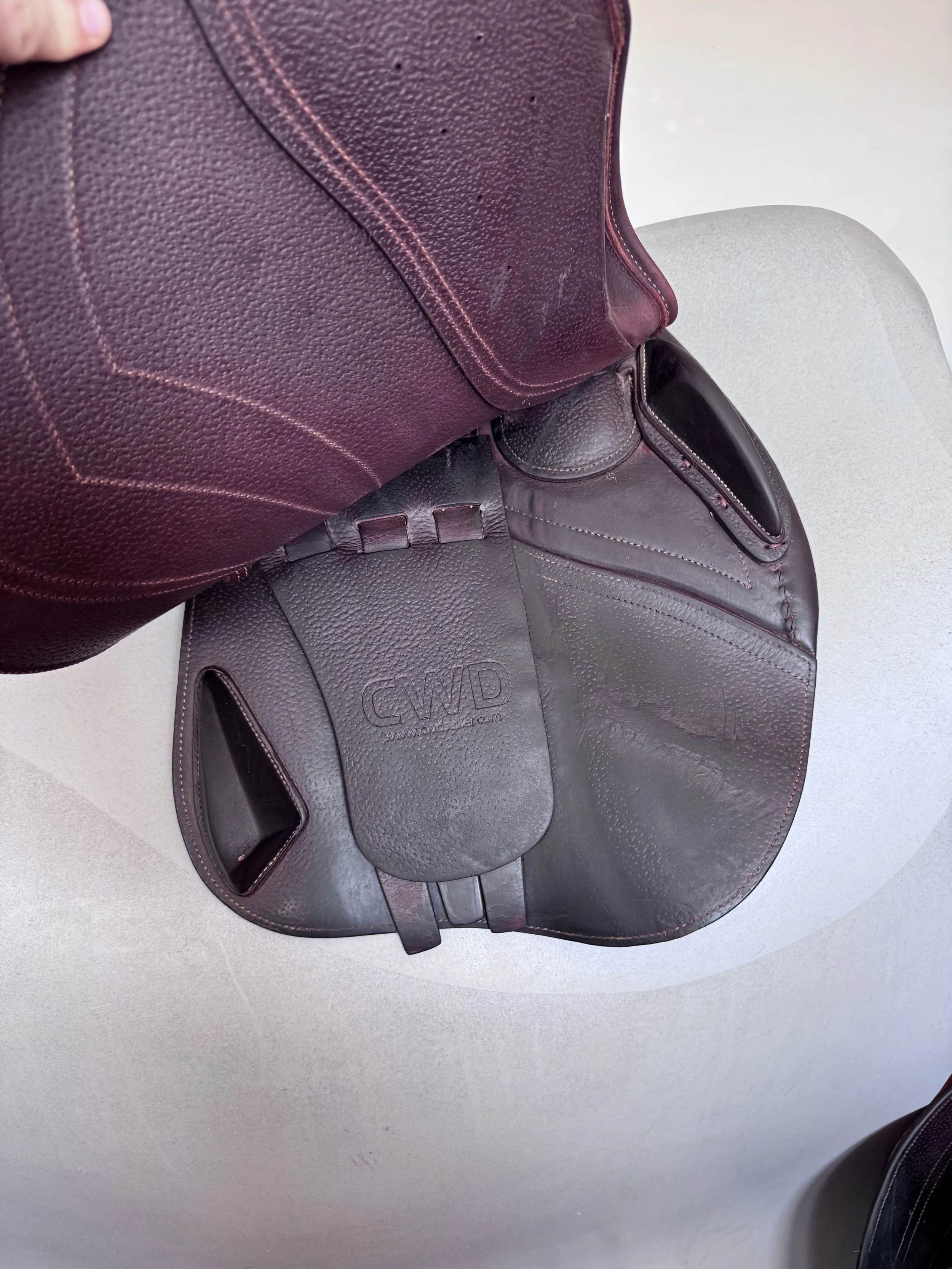 IMG_2646.jpeg