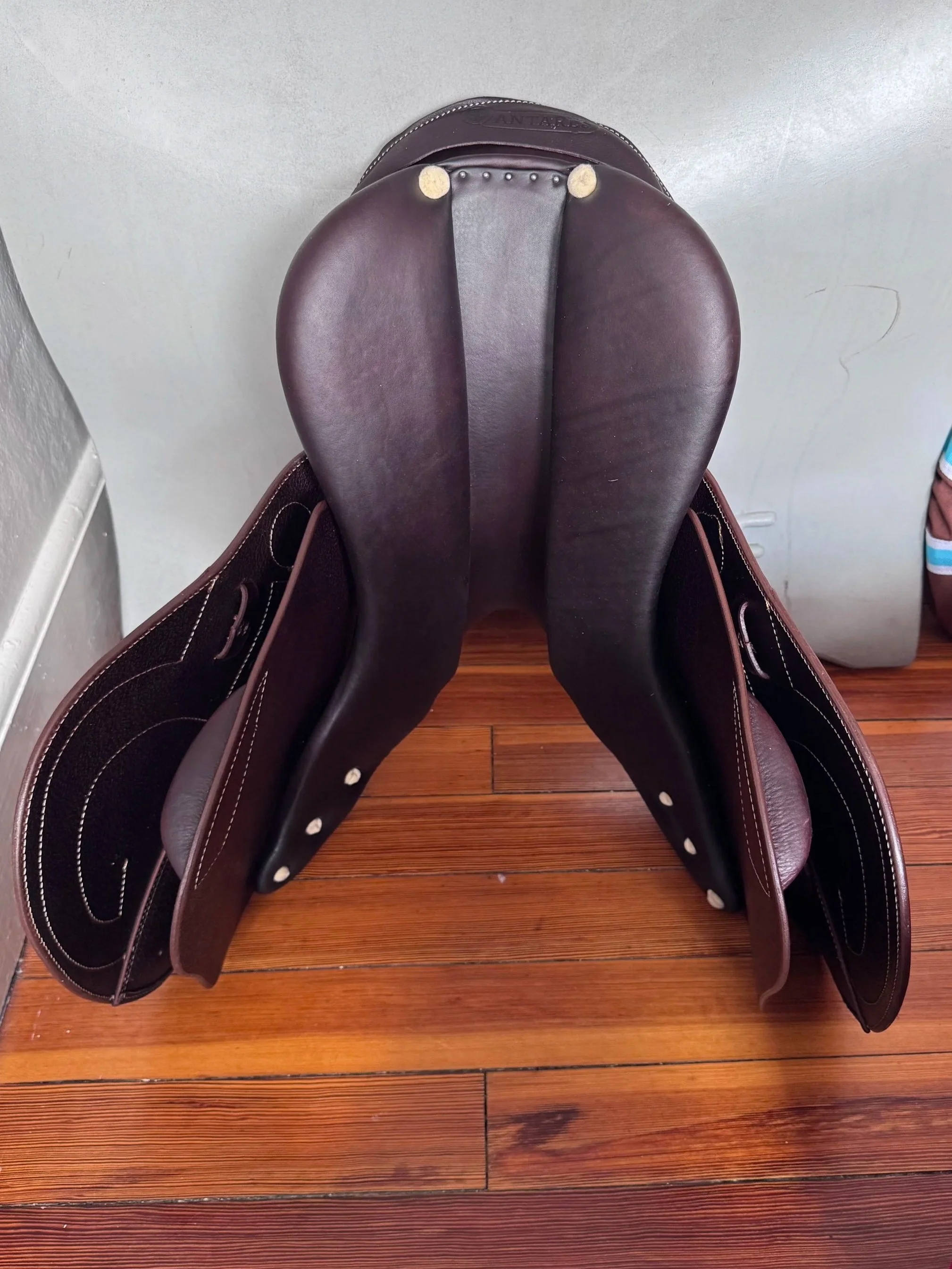 17" Antares Signature Saddle - 2025 - 2N - A01 - Full Calf - NEW - Tree 2