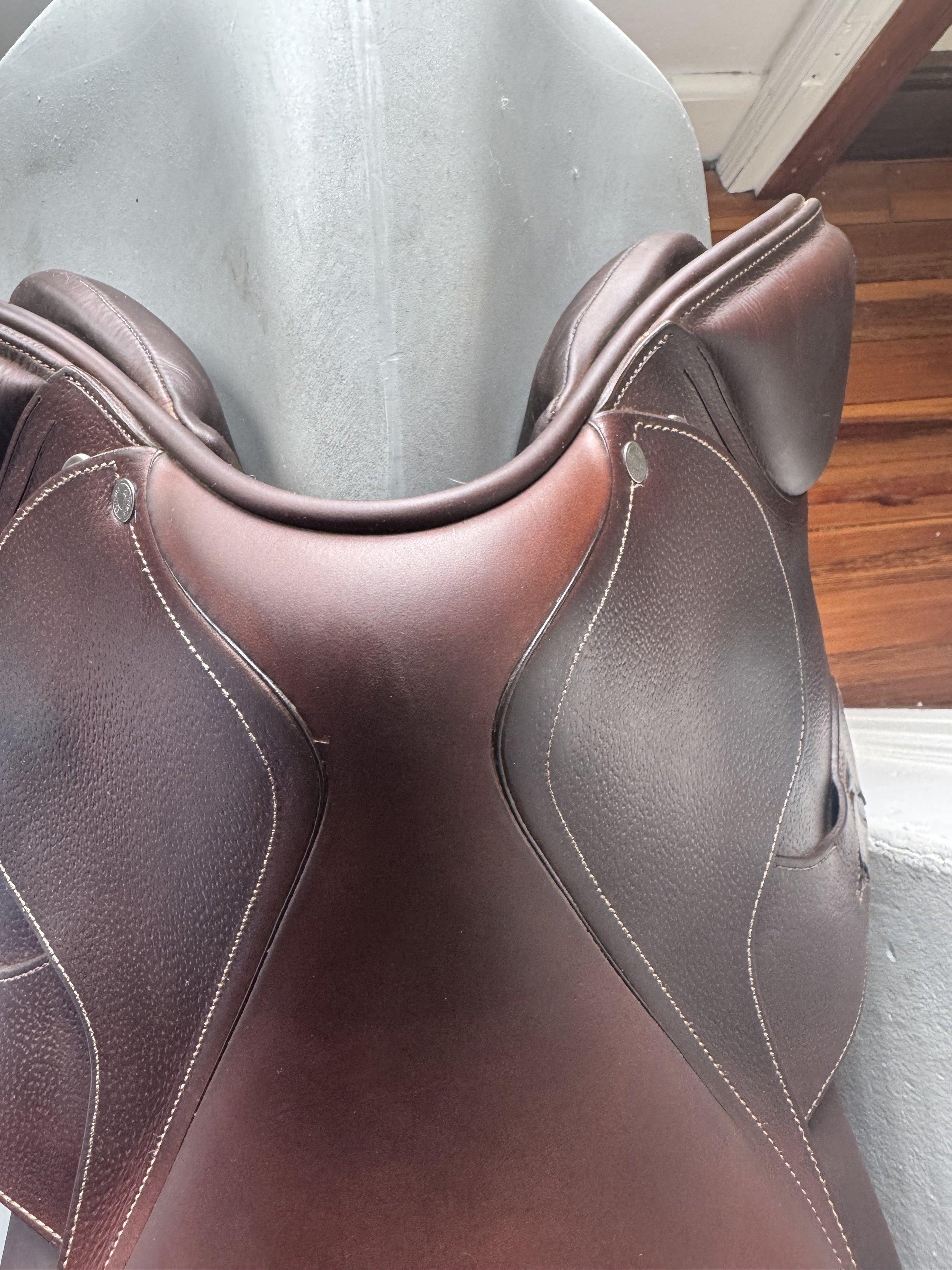 17" Antares Connexion Used Saddle