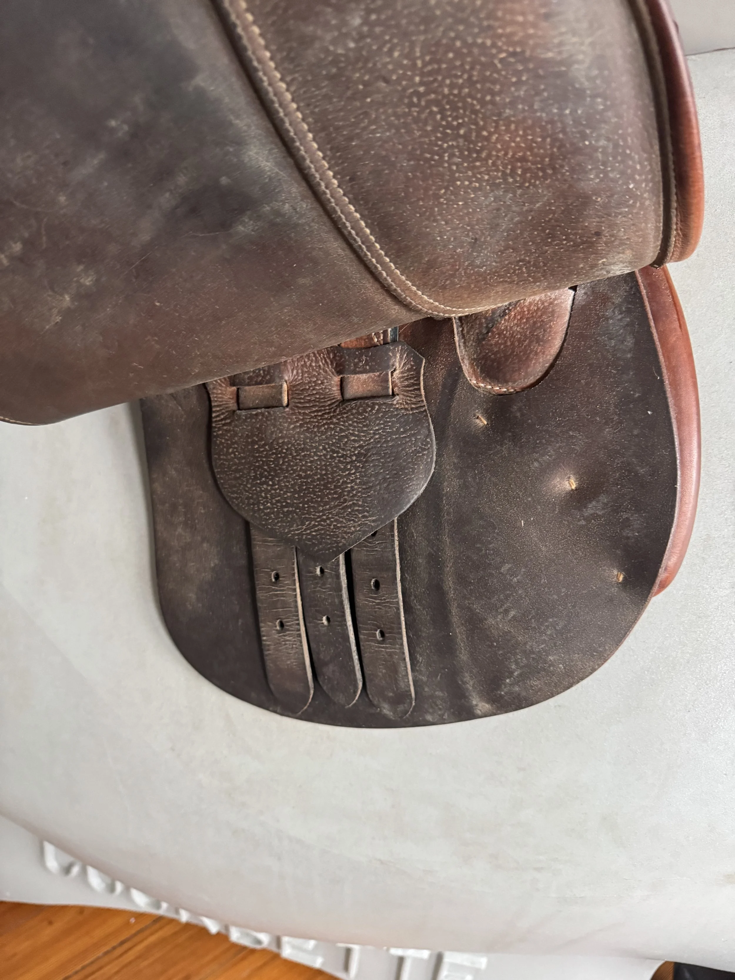 15" Baby Butet Saddle - BB1 - Billets 2