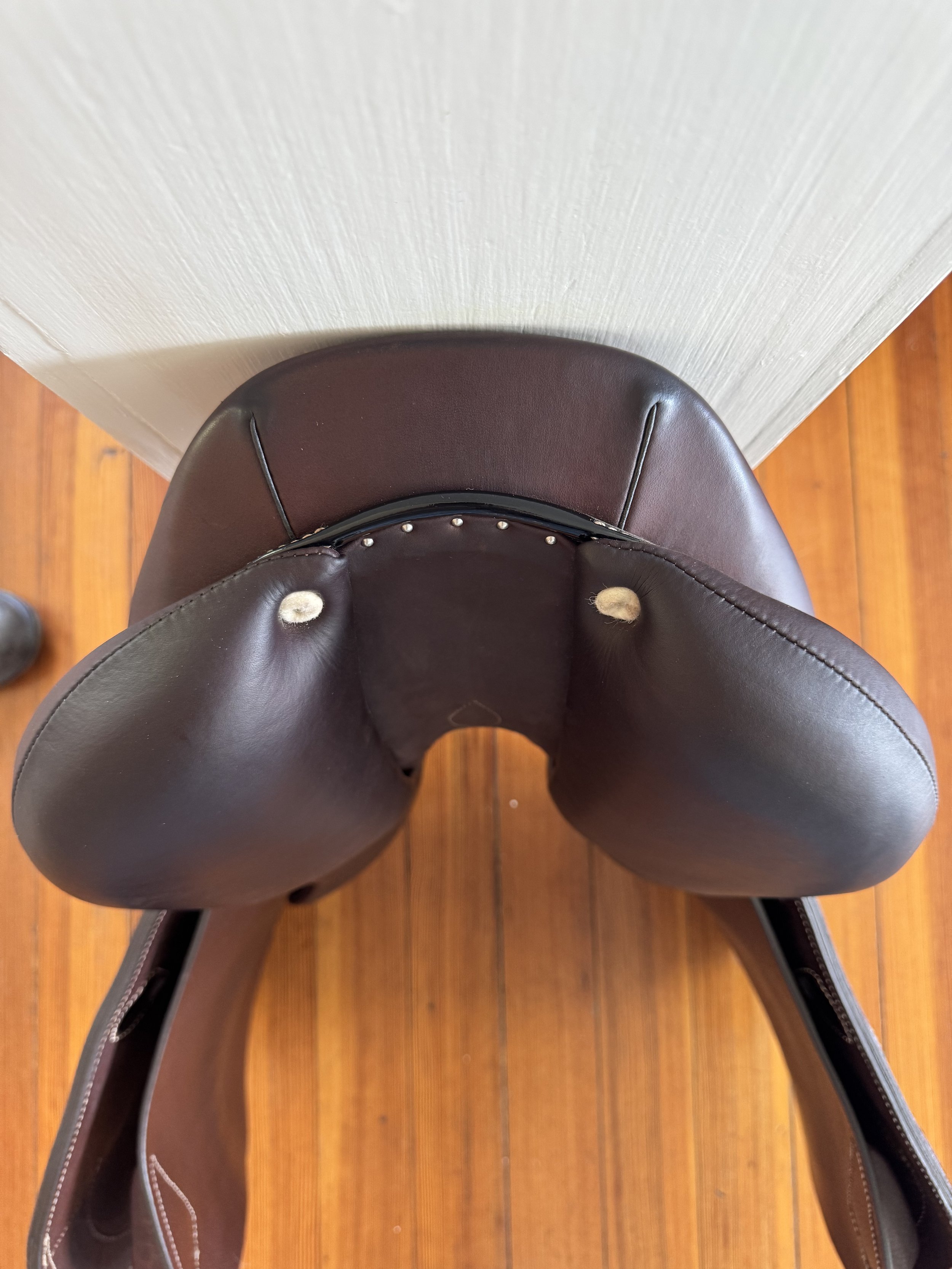 17.5" 2024 Antares Connexion Saddle