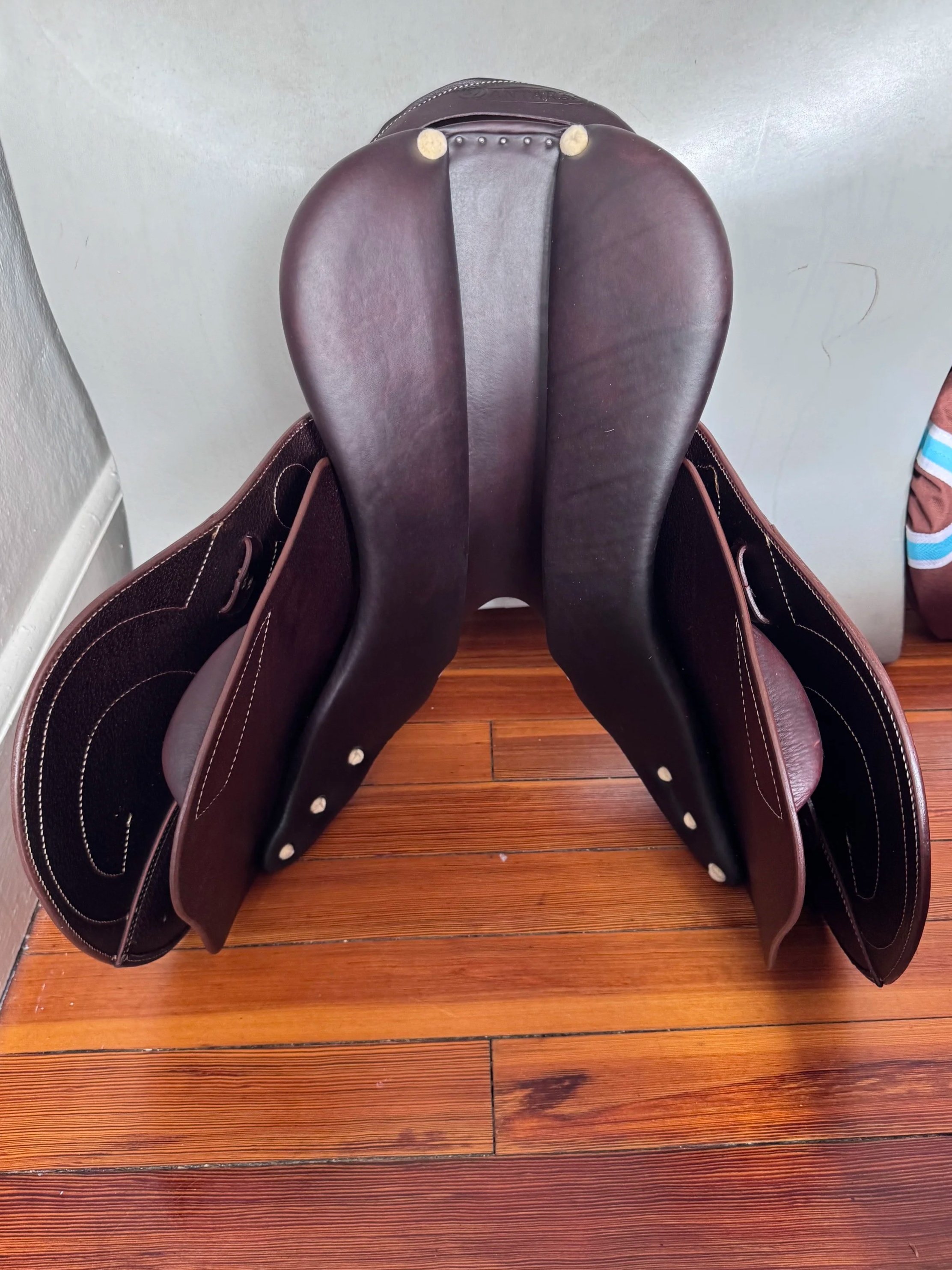 17" Antares Signature Saddle - 2025 - 2N - A01 - Full Calf - NEW - Tree