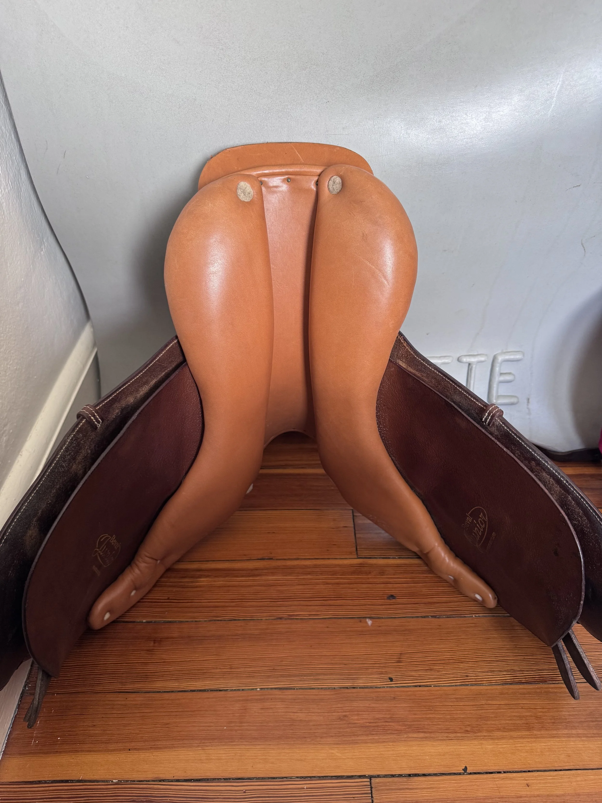 IMG_1413.jpeg