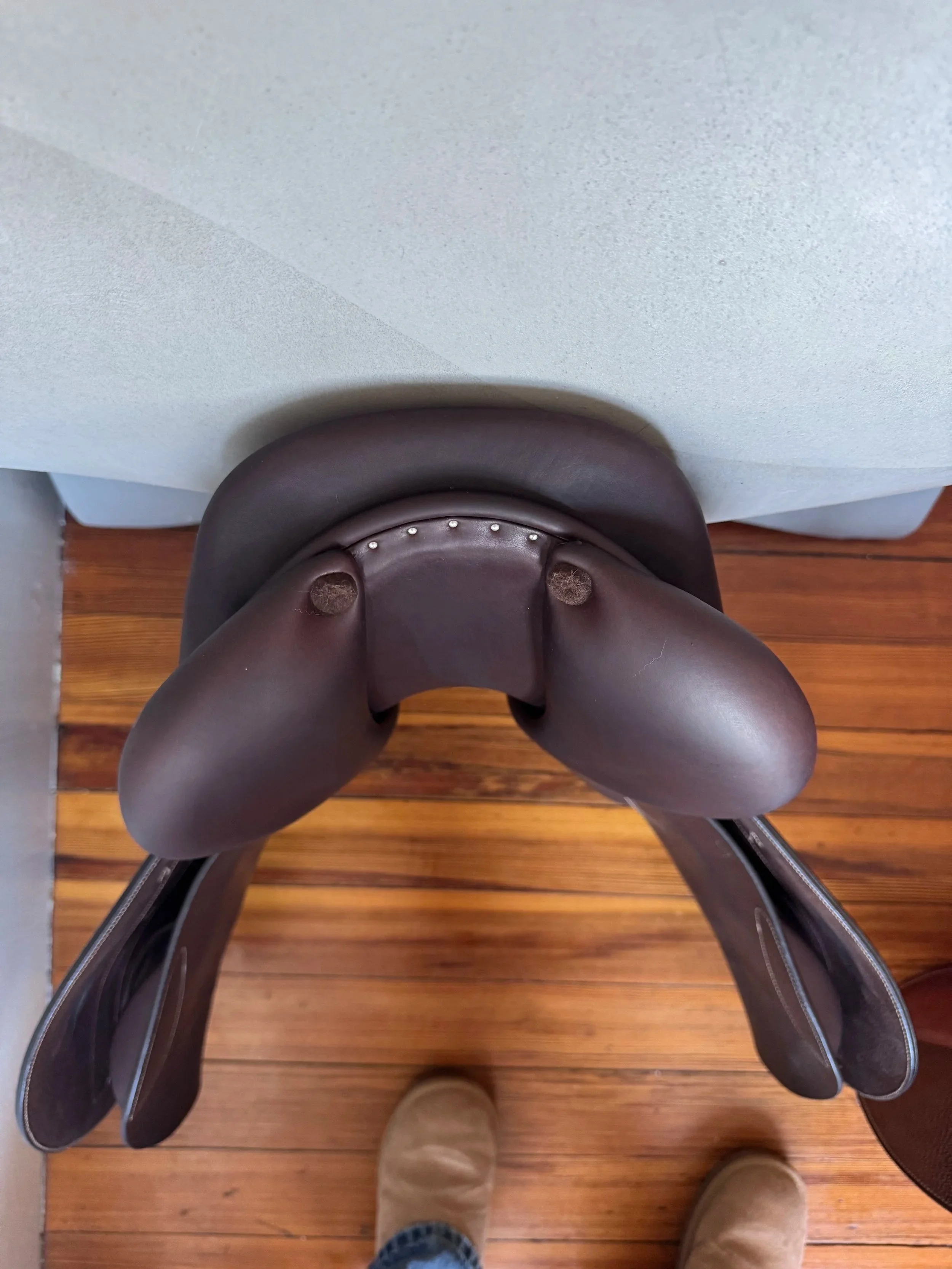 17.5" Butet Premium Saddle - 2022 - Cachou - Integrated Panels - Cantle