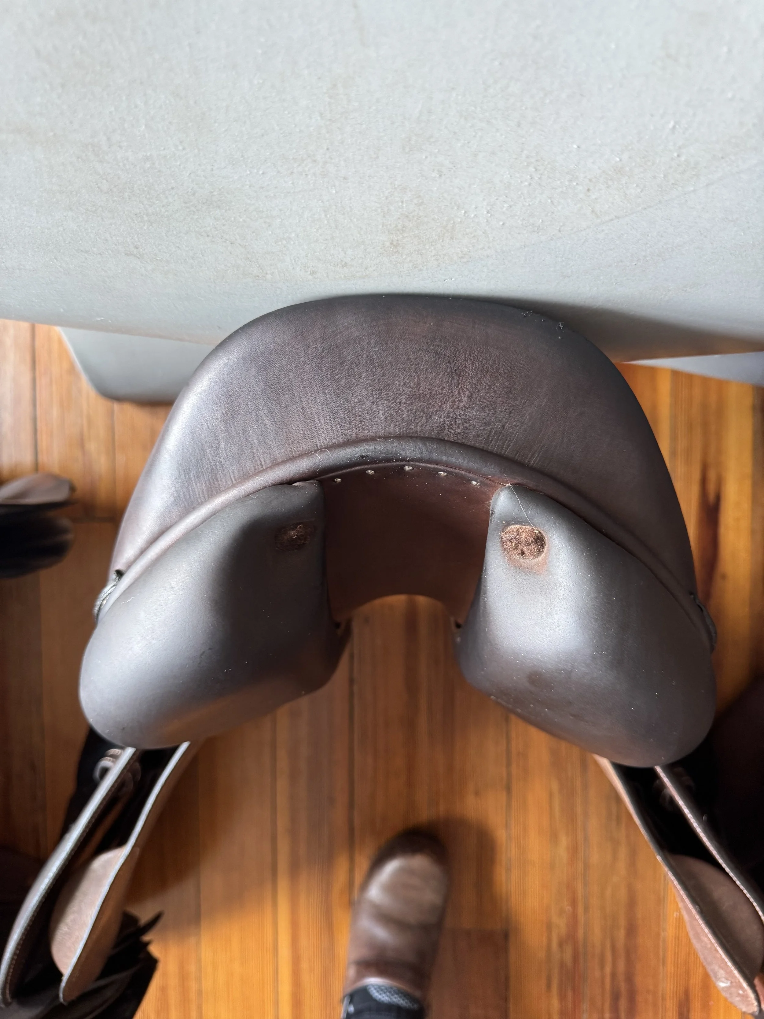 16.5" Voltaire Essential Saddle - 2023 - Cantle 2
