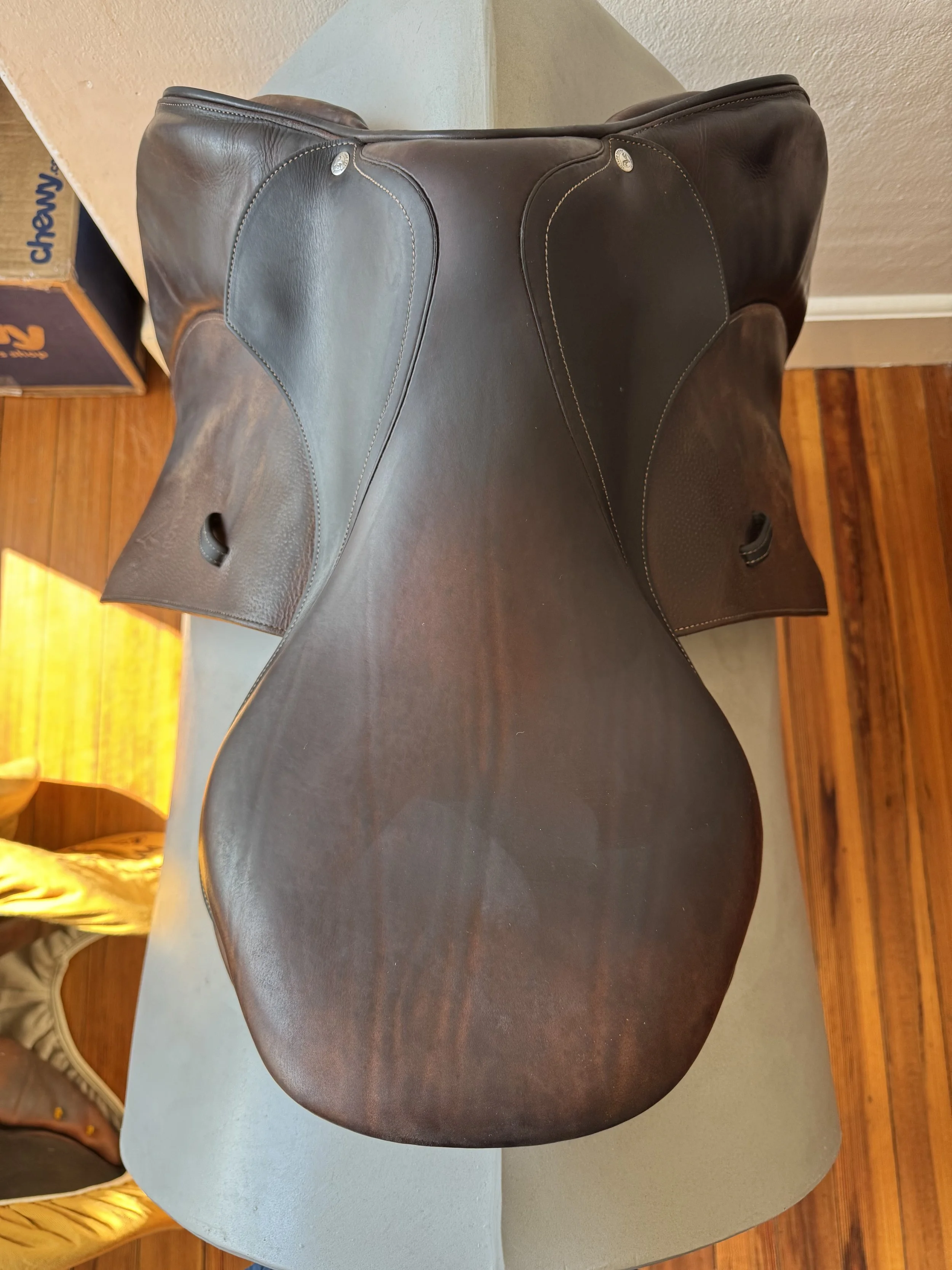19" Voltaire Palm Beach Saddle - Seat