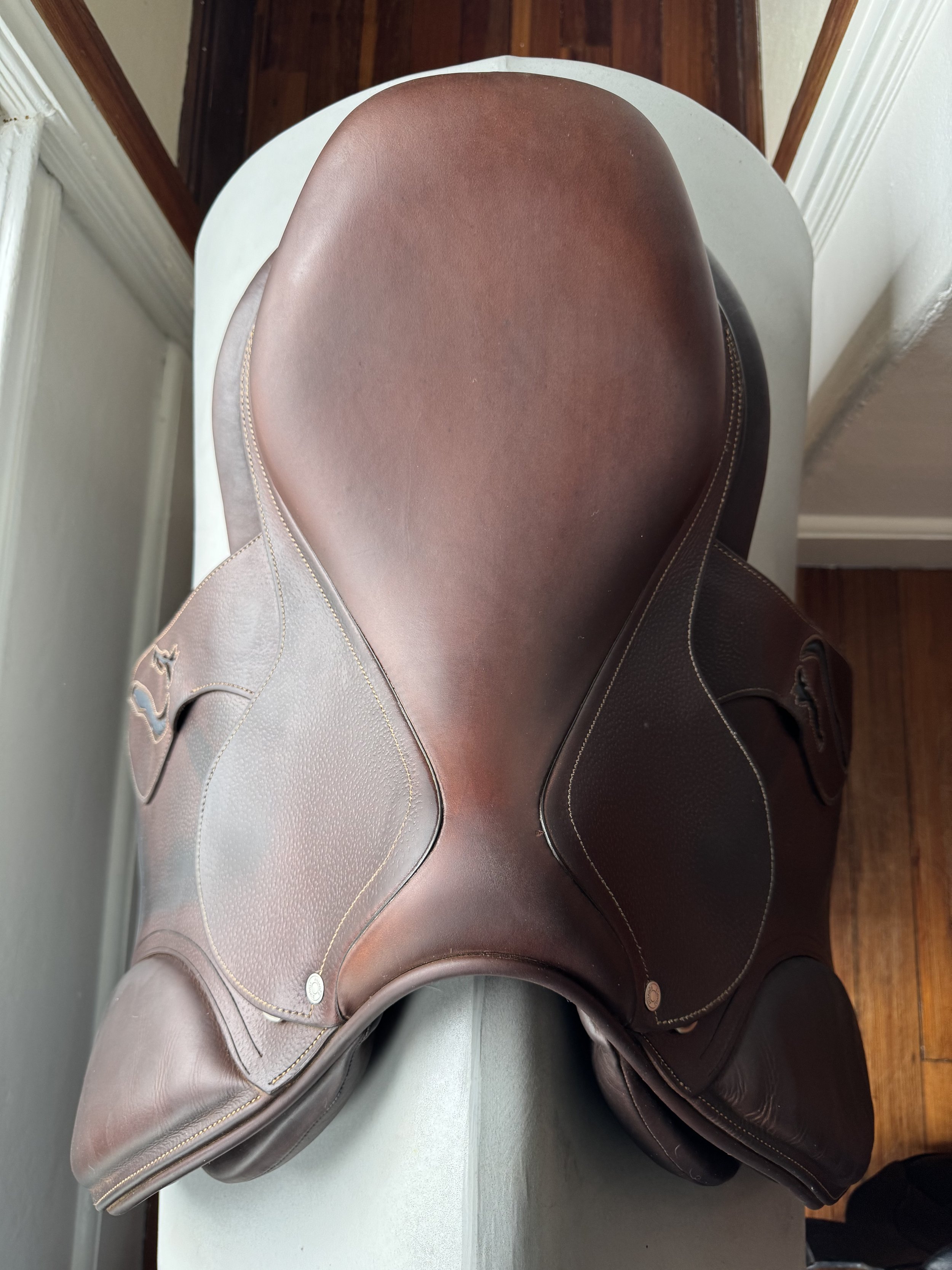 17" Antares Connexion Saddle - Seat View