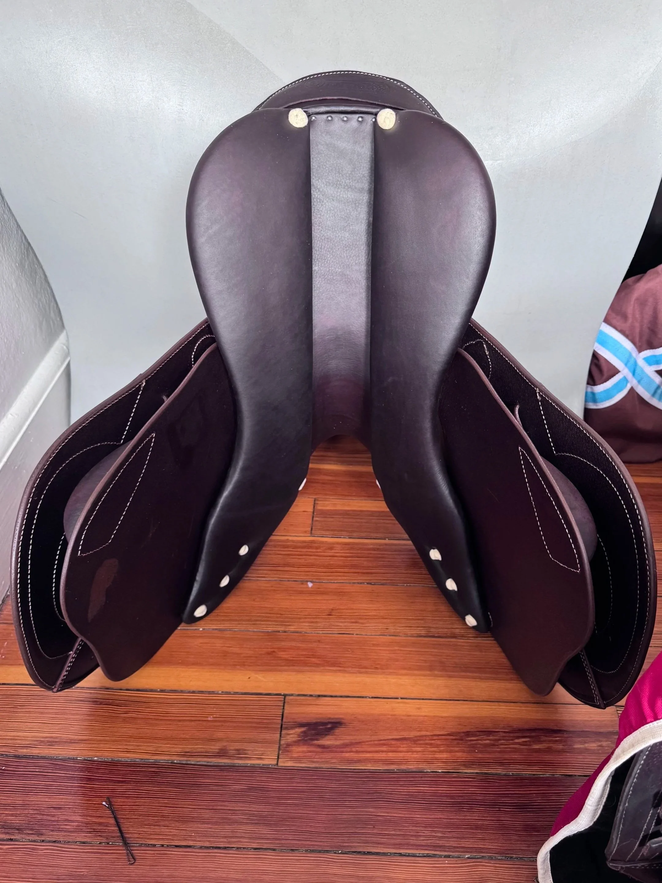 17.5" Antares Signature Saddle - 2025 - 3A - Full Calf - AN Tree - NEW - Underpants