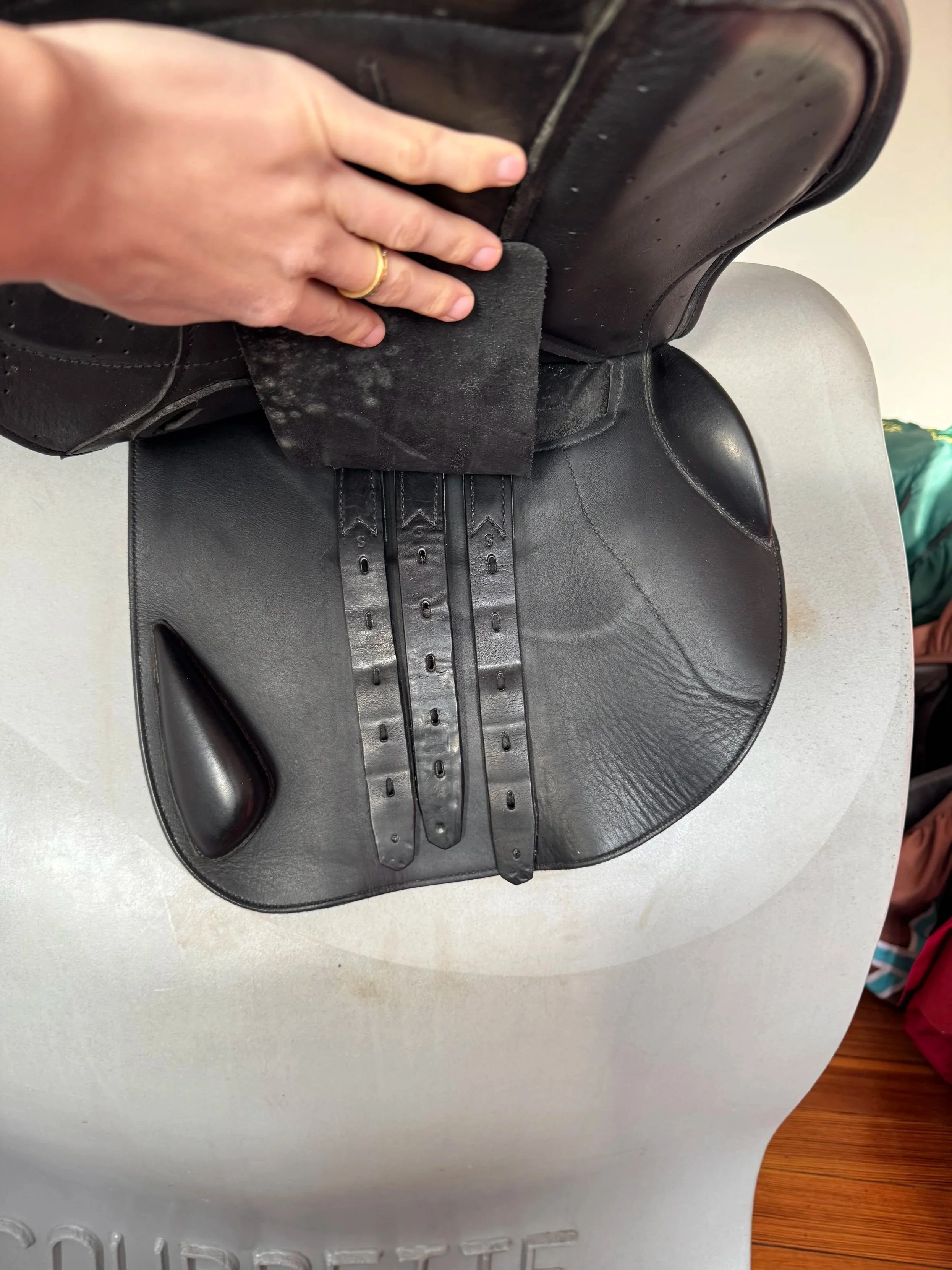 17.5" Erreplus CA Saddle - 2019 - Wool Flocked - Adjustable - Right Billets