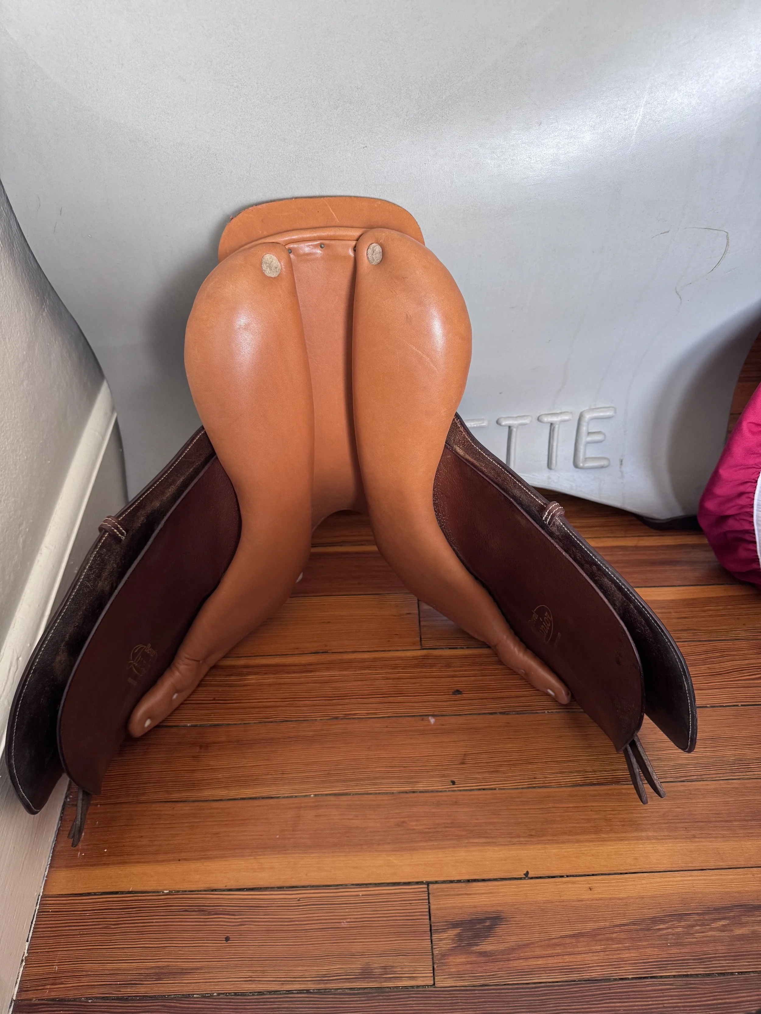 IMG_1410.jpeg
