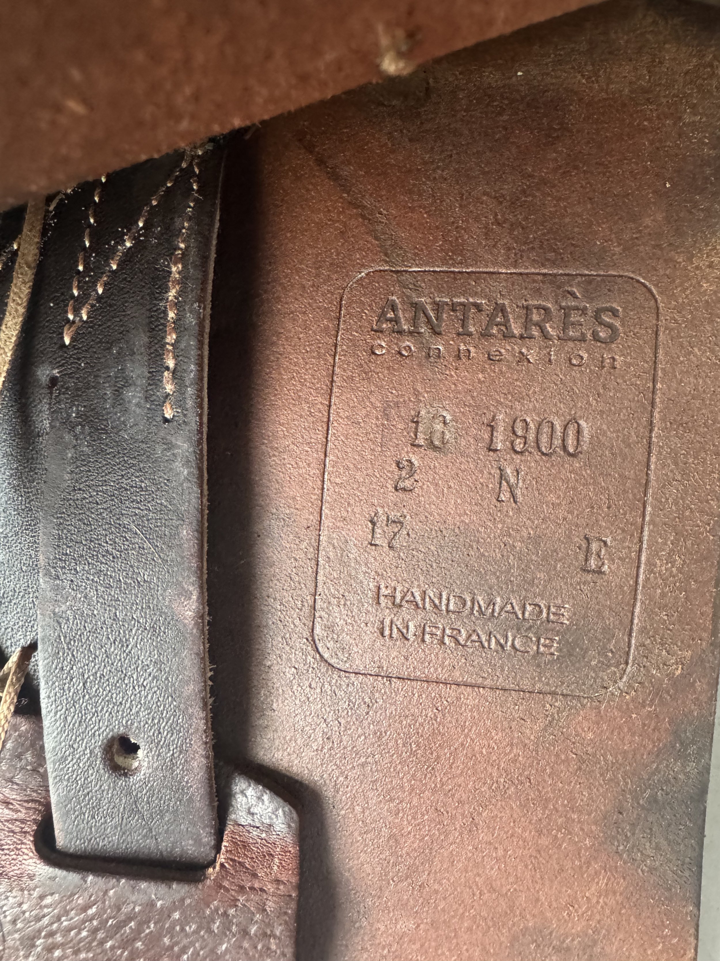 17" Antares Connexion Saddle - Serial