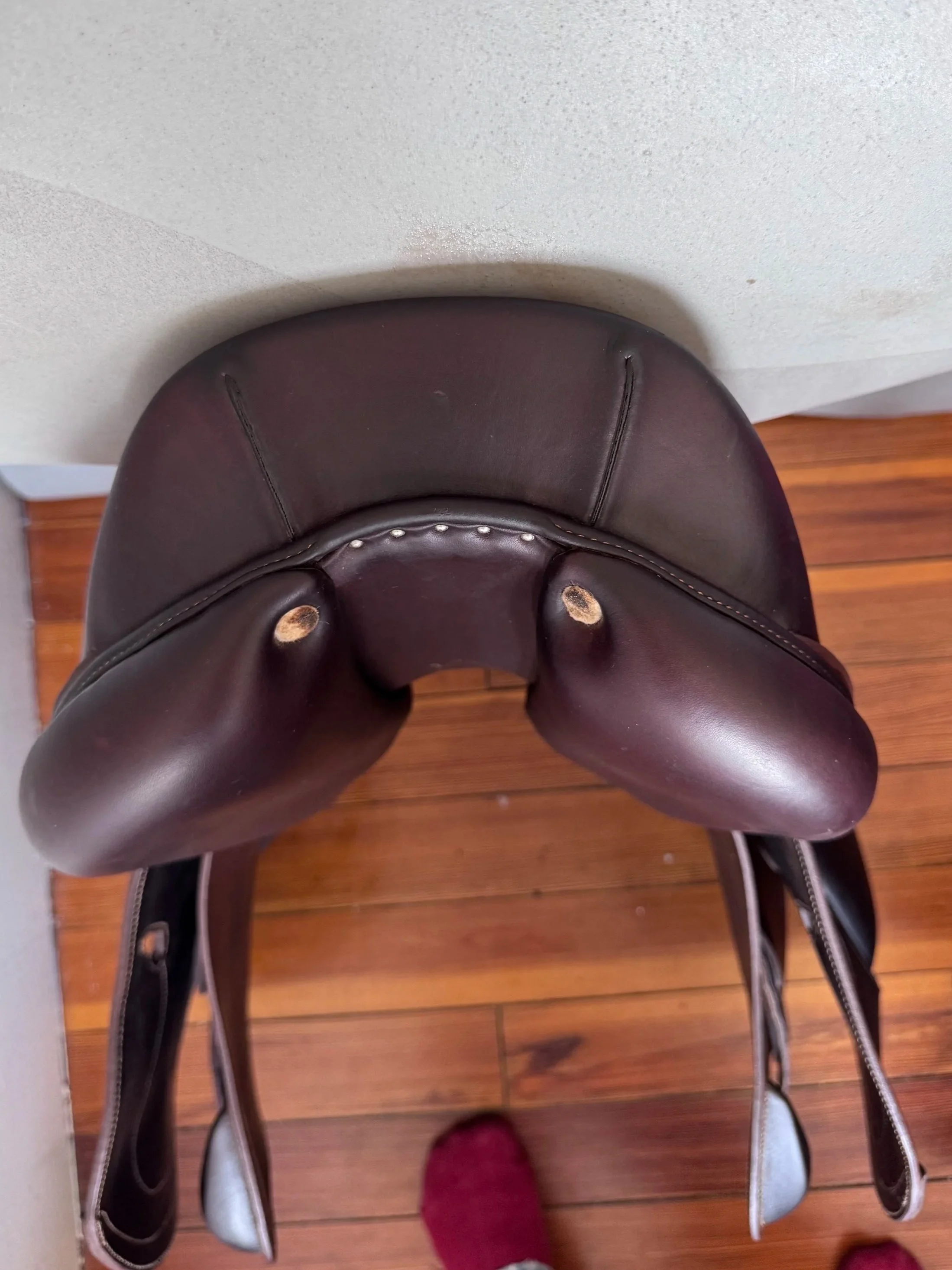 17.5" Antares Comfort 2 Saddle - 2021 - 2A - Full Buffalo - A01 WIDE Tree - Cantle