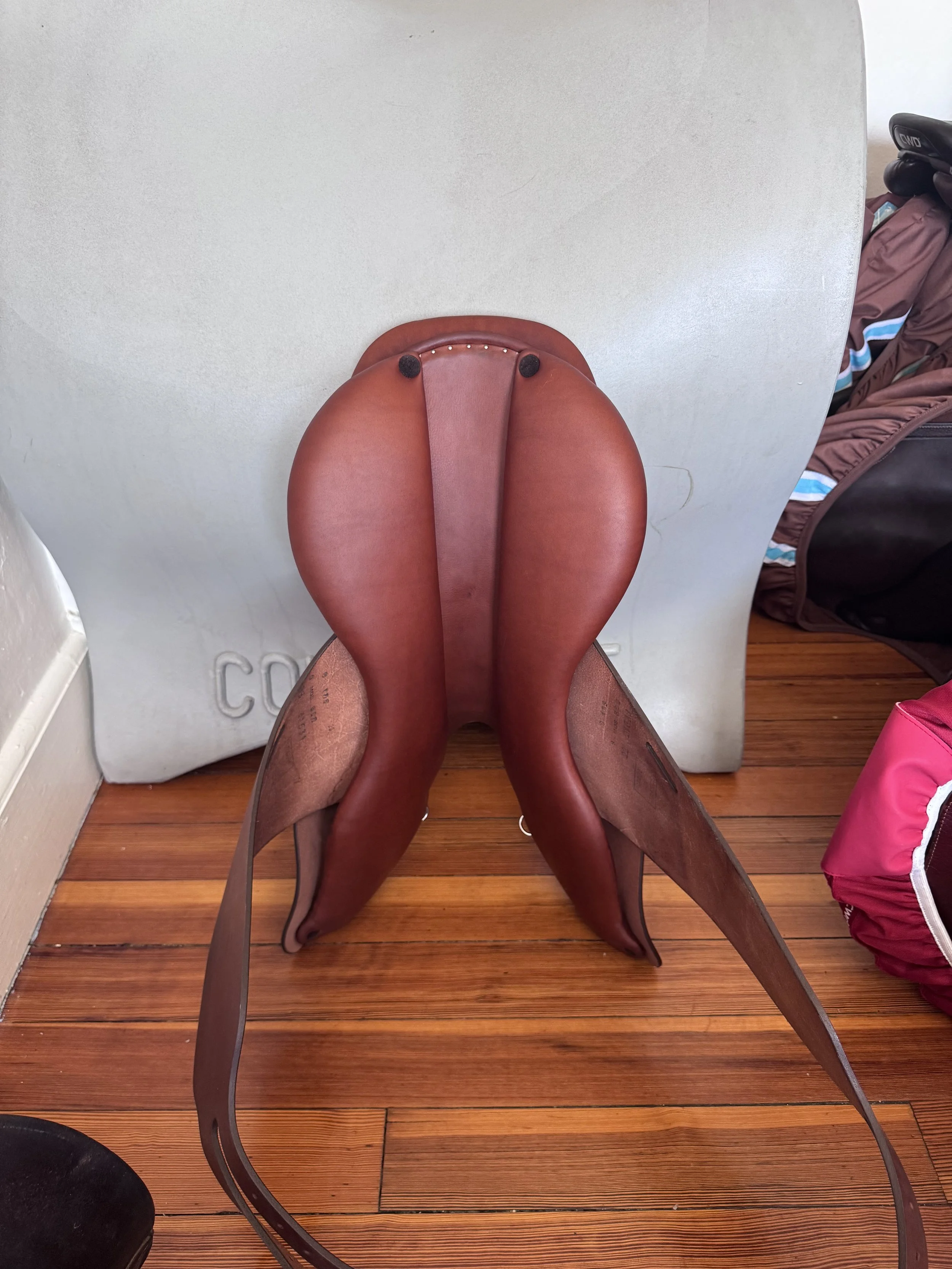 IMG_5518.jpeg