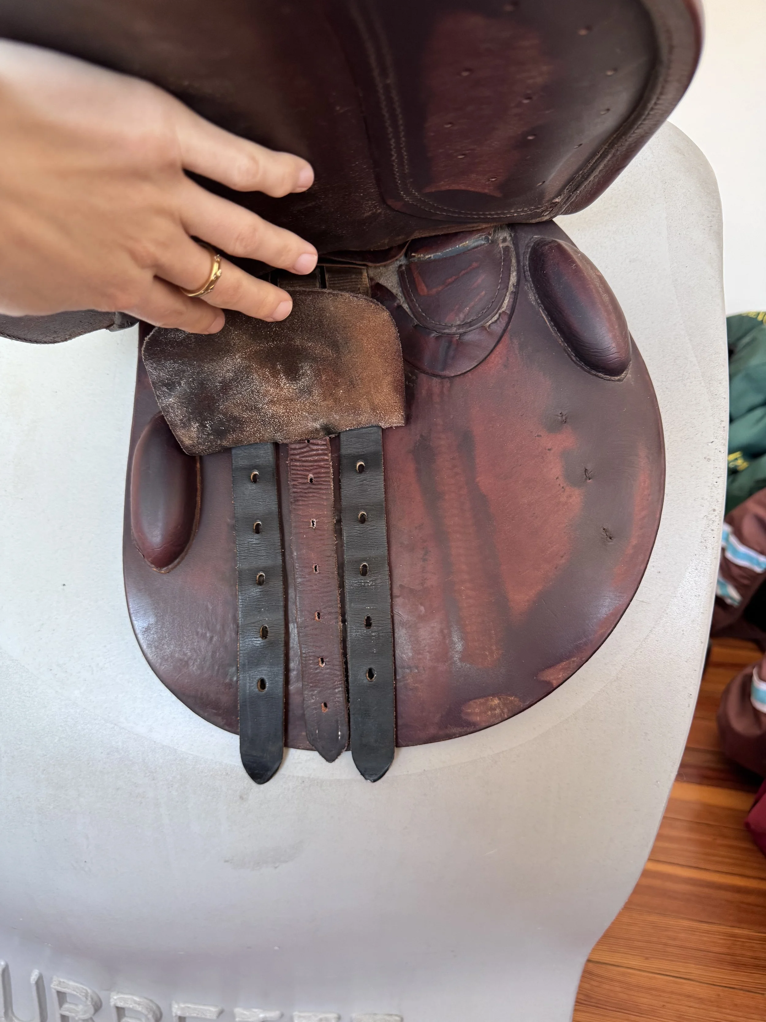 17.5" Tad Coffin A5G Performance Saddle - Grain / Calf - Right Billets