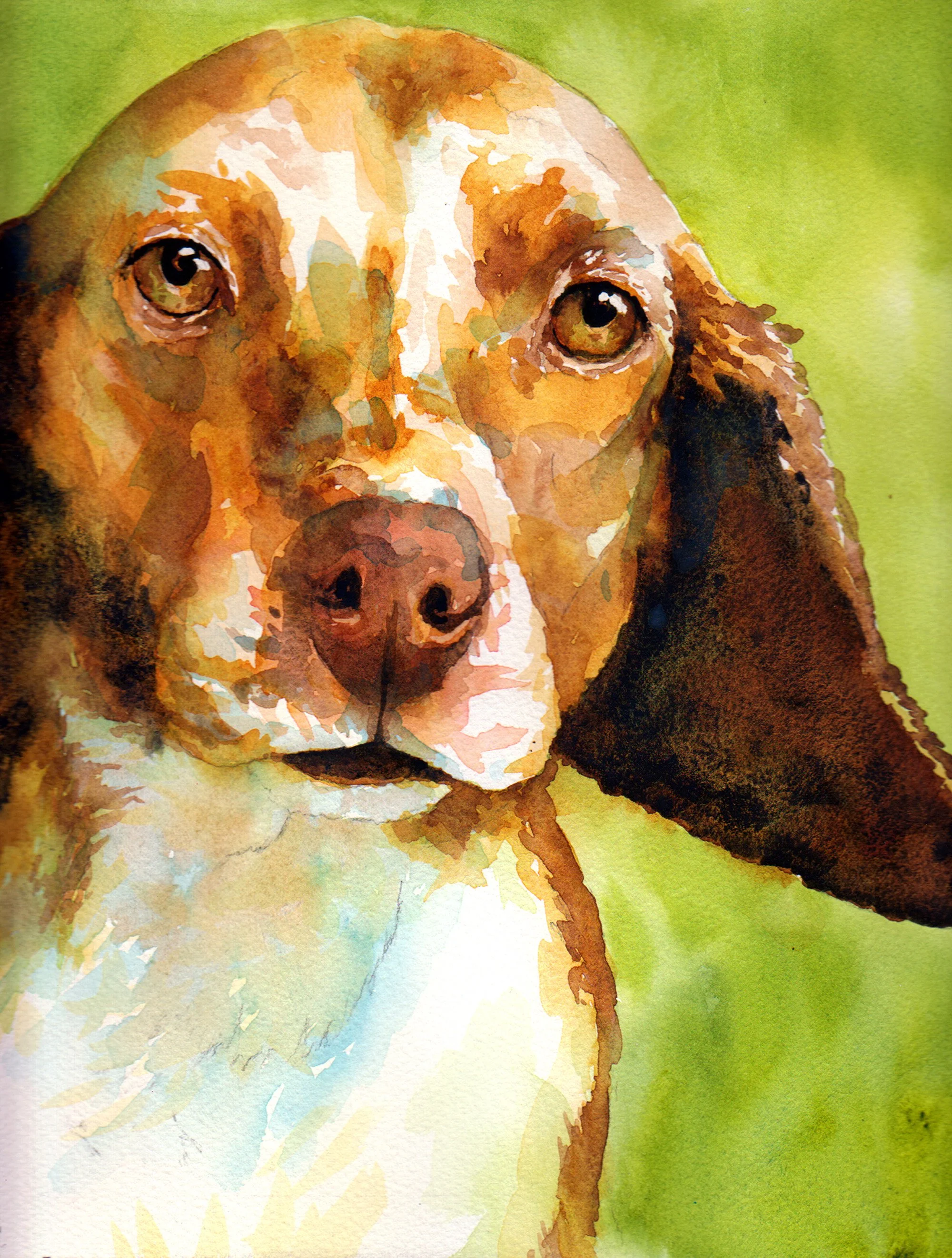 annabelle wc copy.jpg