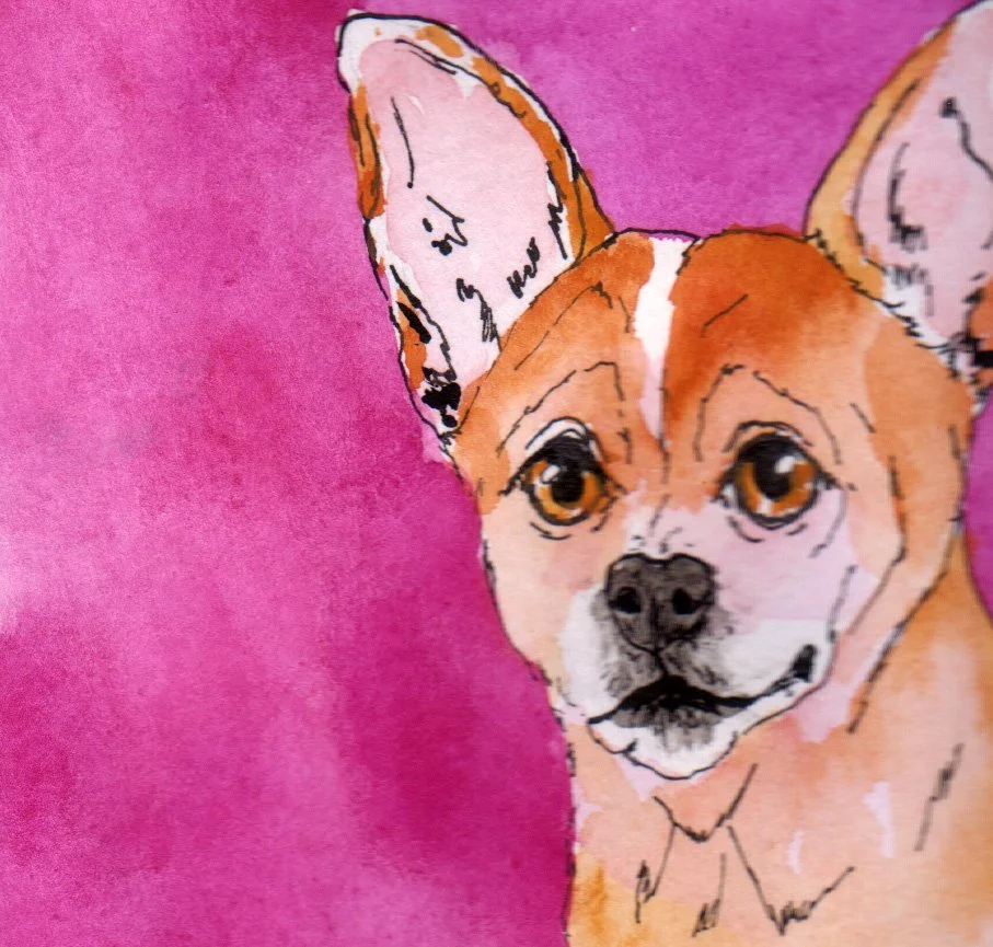 inktober02 Chihuahua.jpg