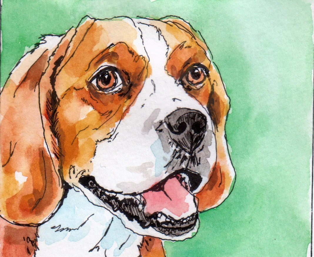 inktober01 beagle.jpg