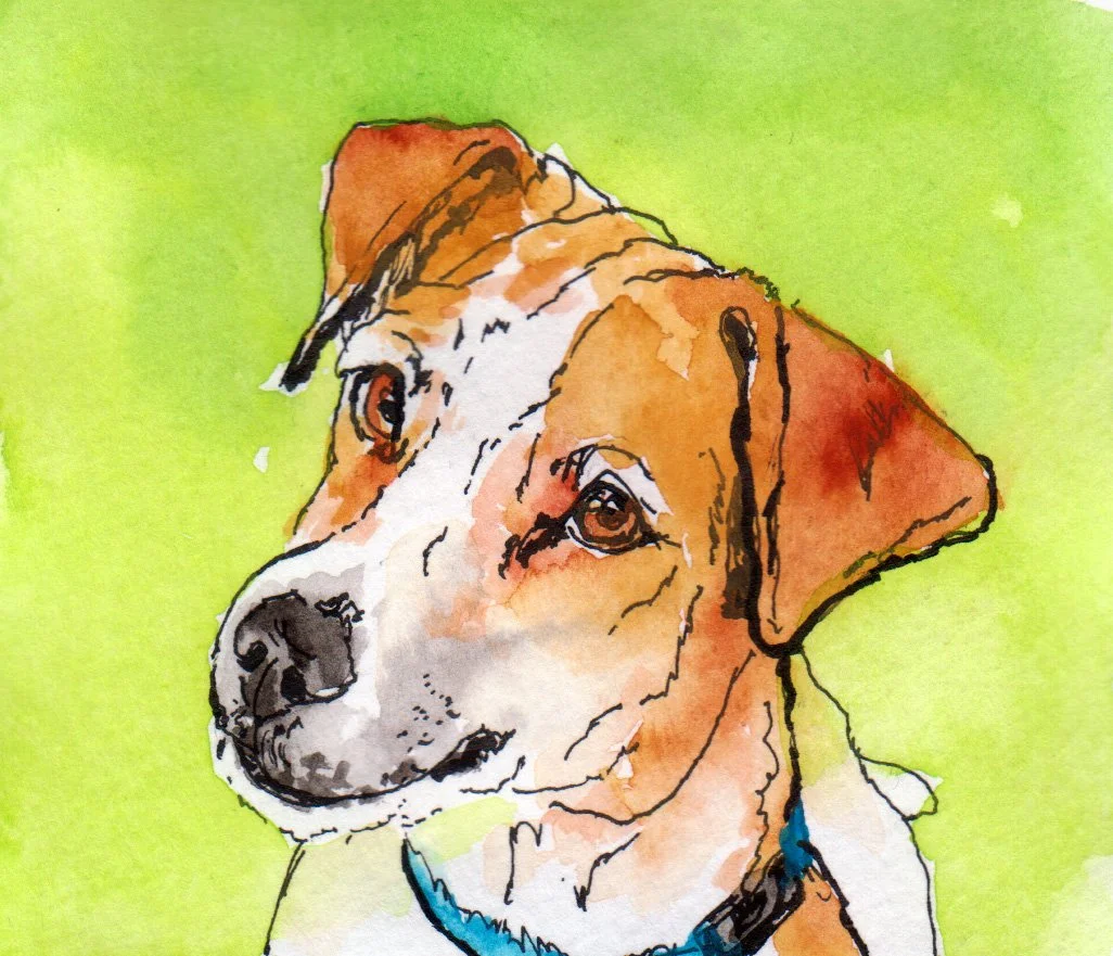 inktober04 Jack Russell Terrier.jpg