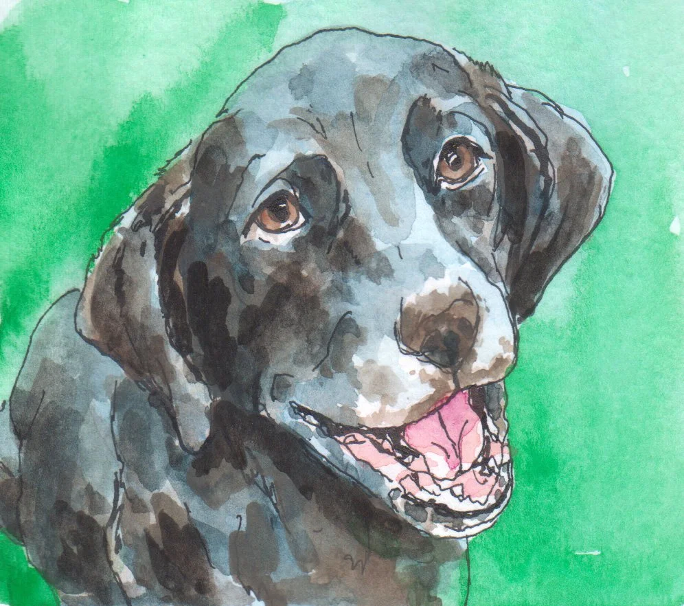 inktober05 Labrador Retriever.jpg