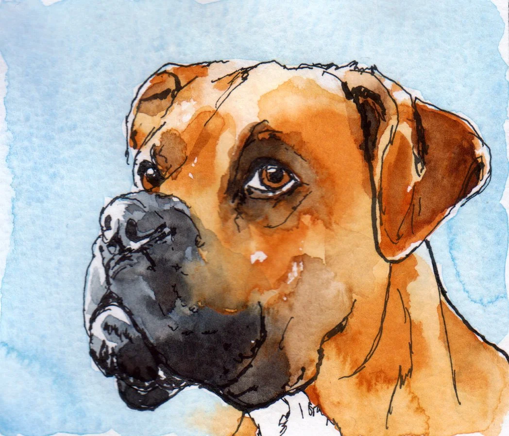 inktober06 Boxer.jpg