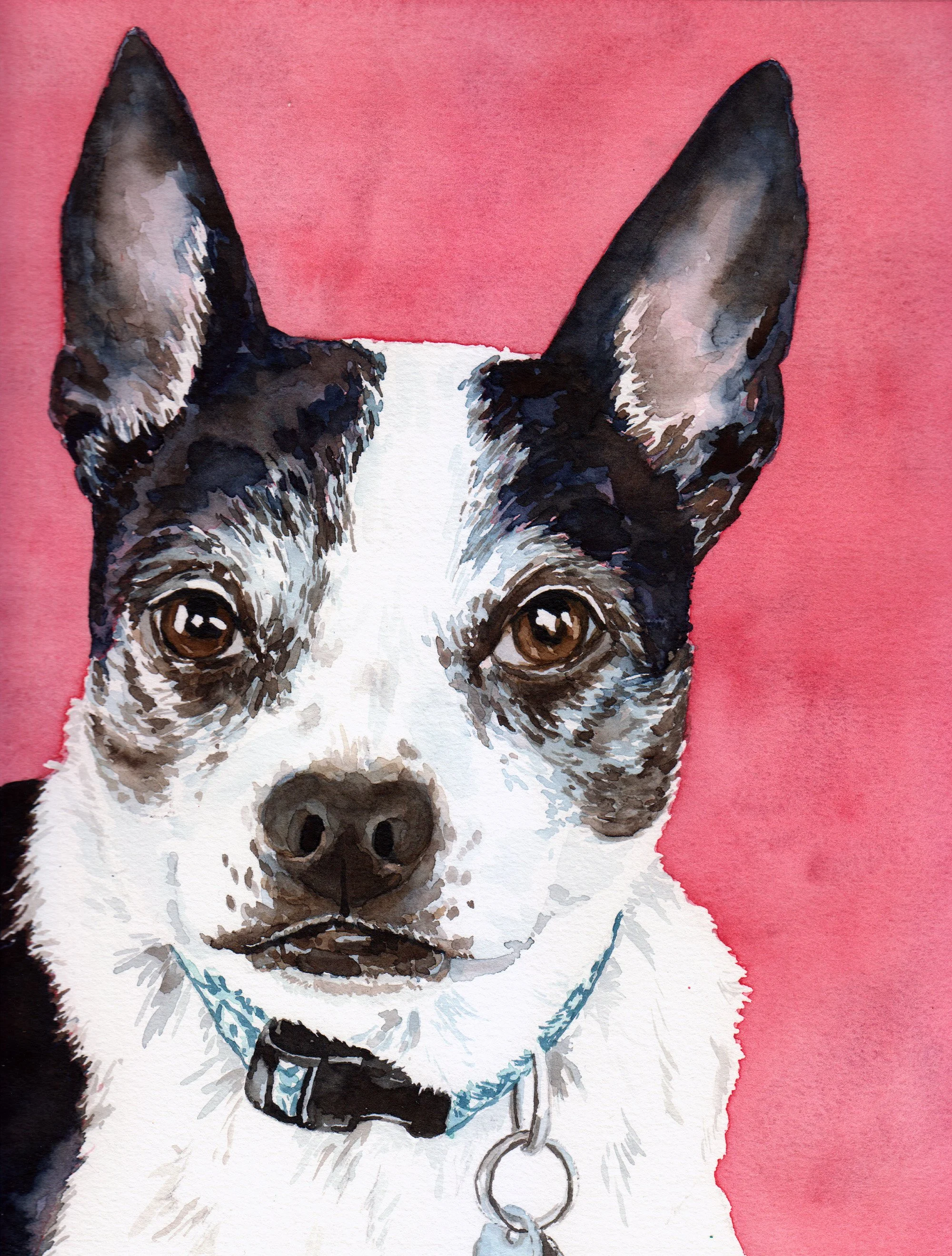 Dealing with pet loss grief