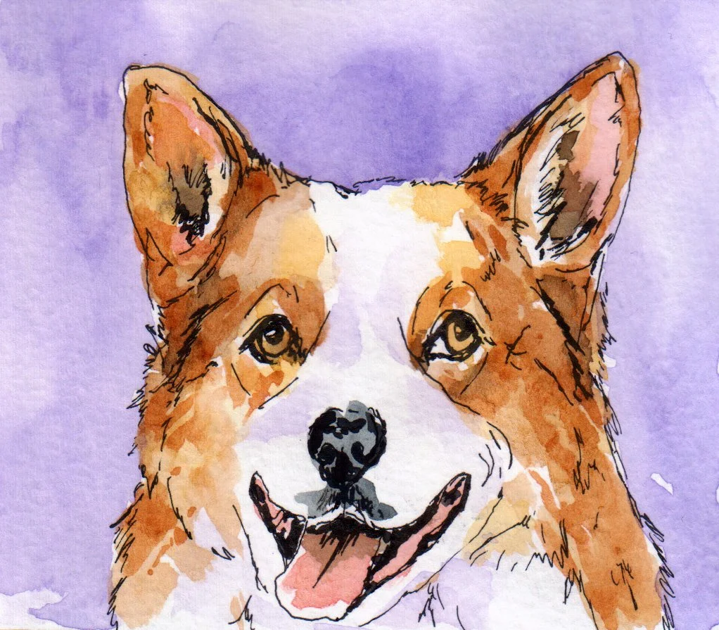 inktober07 corgi.jpg