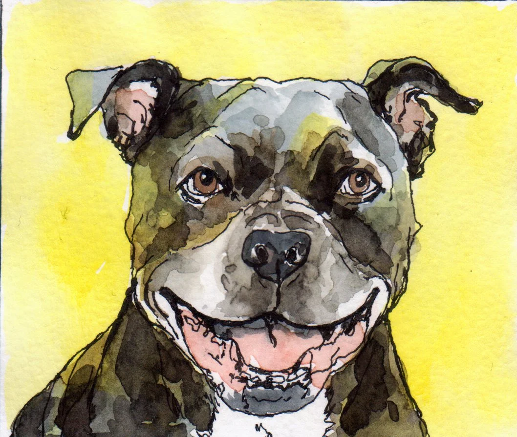 inktober08 Pit Bull Terrier.jpg